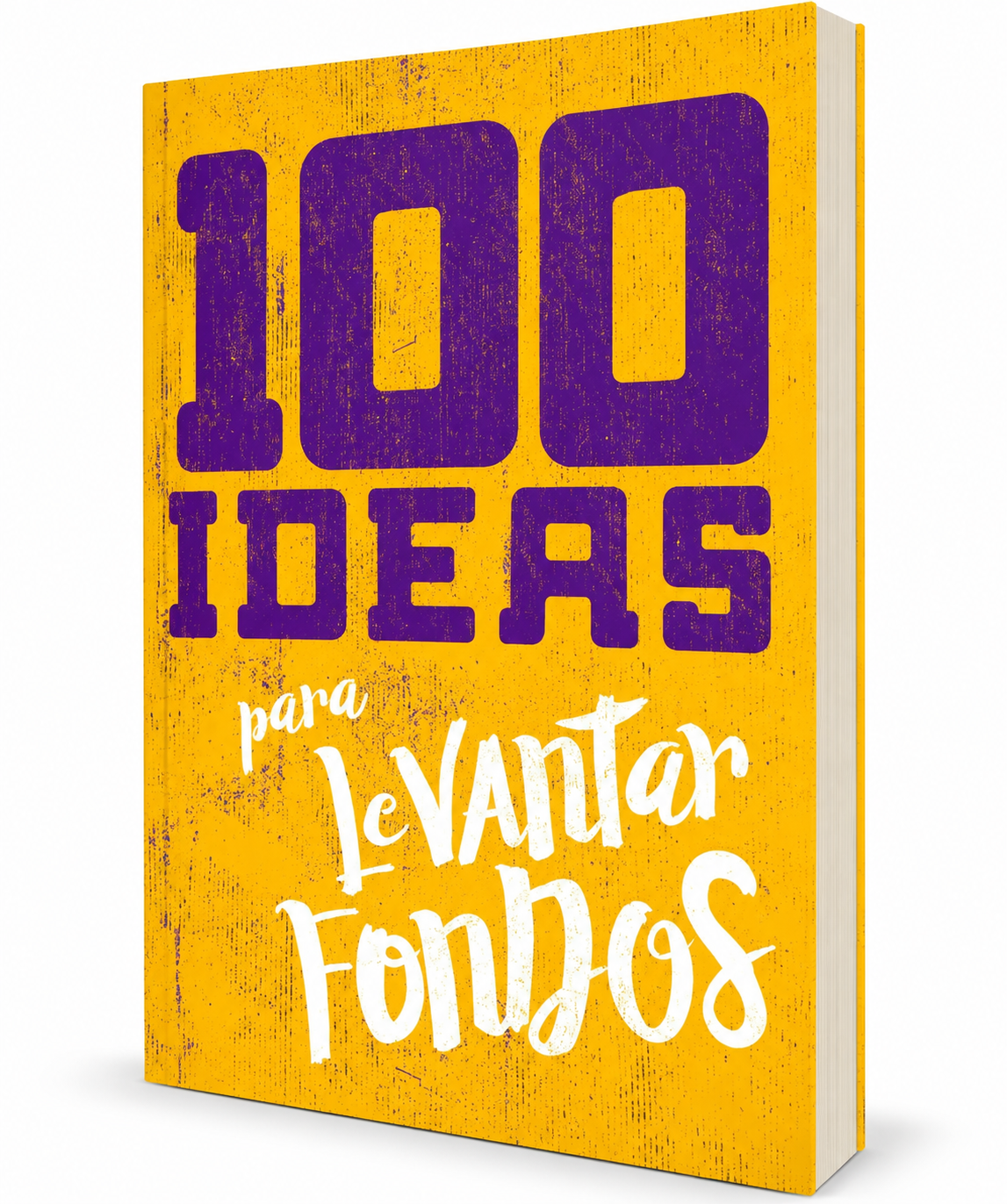 100 Ideas para Levantar Fondos