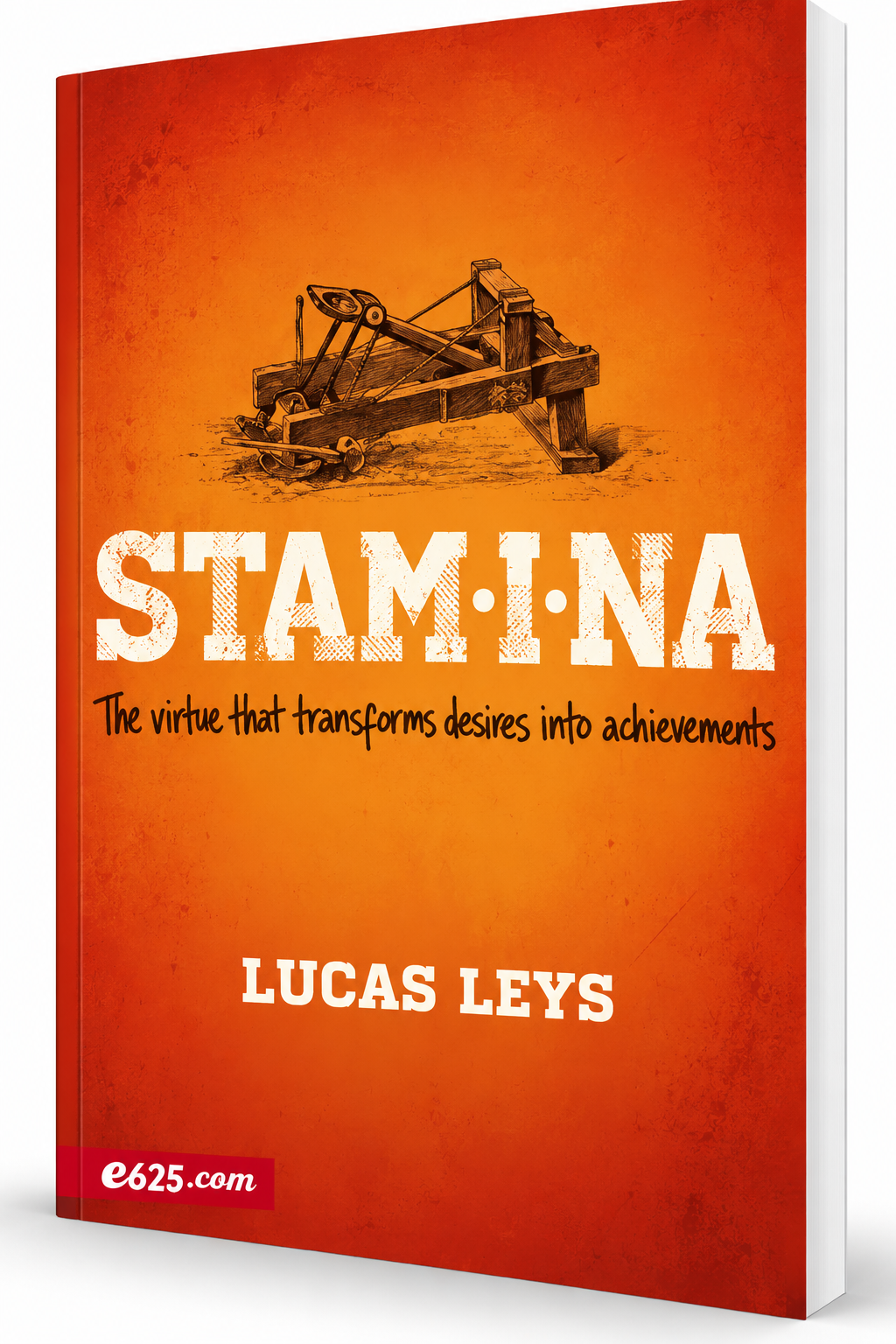 Stamina - Hardcover - Lucas Leys