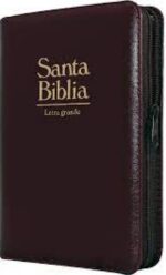 Biblia para Niños: Descubre y experimenta la Biblia, 9781949206593