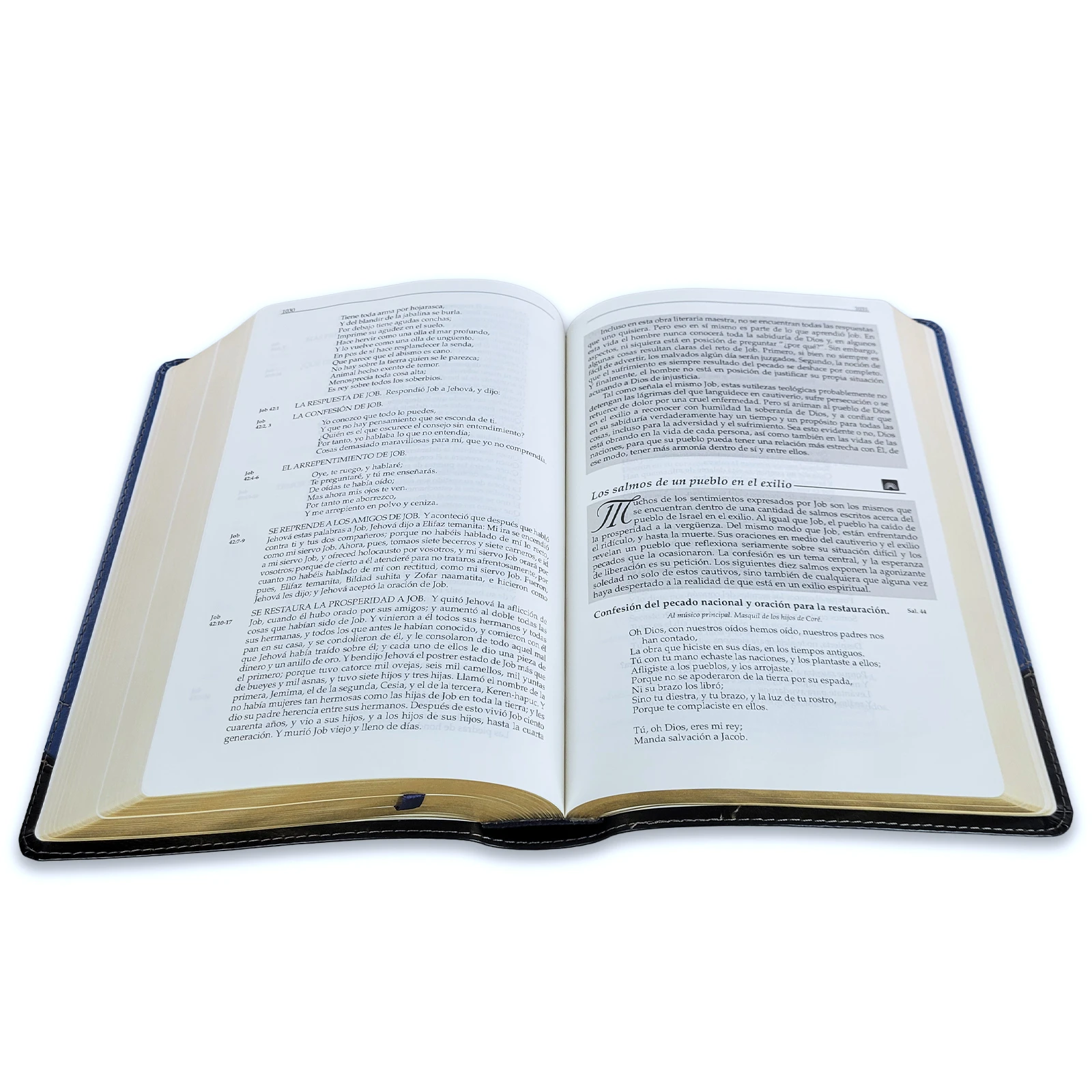 La Biblia en Orden Cronológico RV1960 - F. LaGard Smith, imit piel azul - Imagen 3