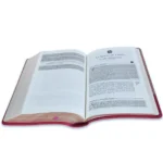 Alternative view of La Biblia en Orden Cronológico RV1960 - F. LaGard Smith, imit piel rosa