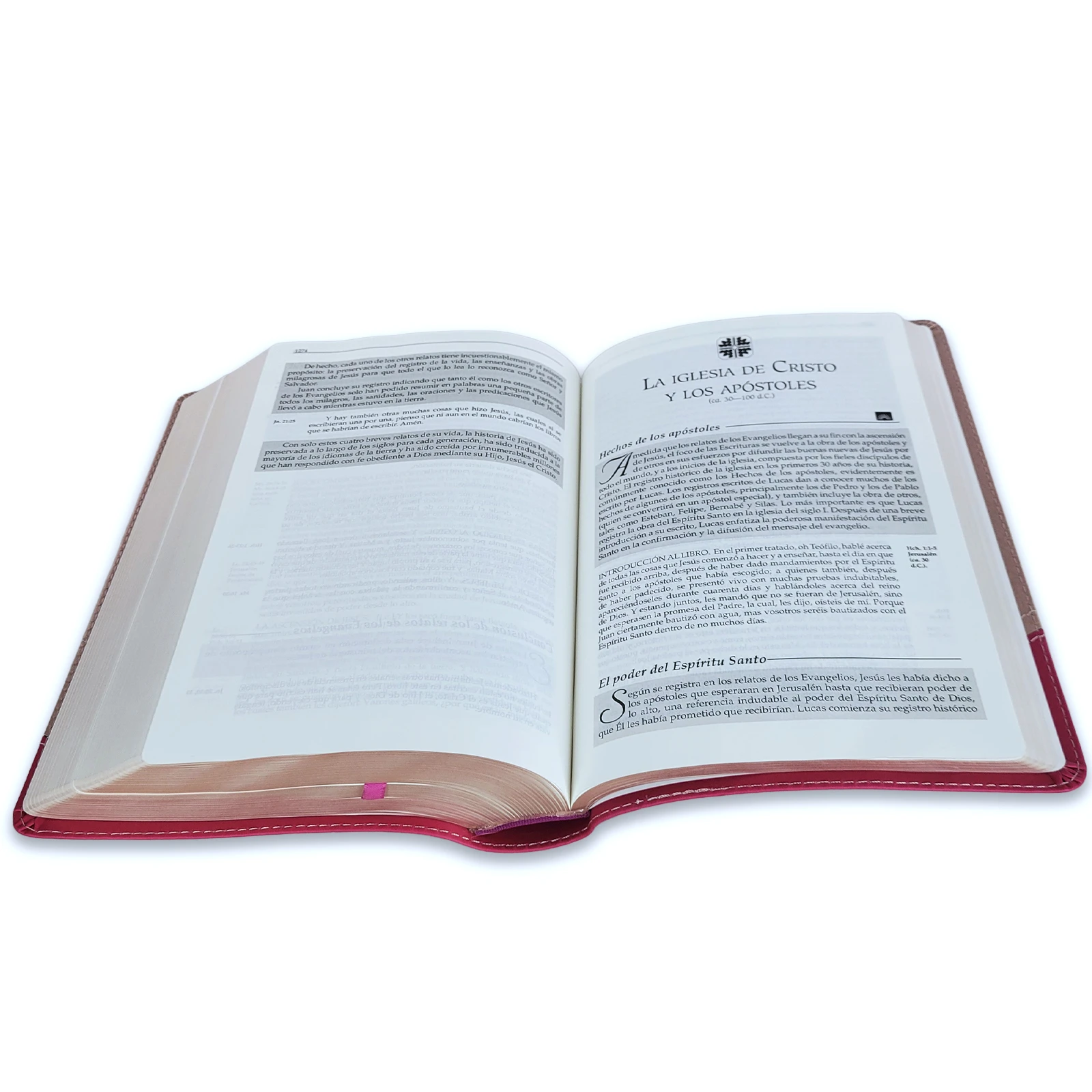 La Biblia en Orden Cronológico RV1960 - F. LaGard Smith, imit piel rosa - Imagen 2