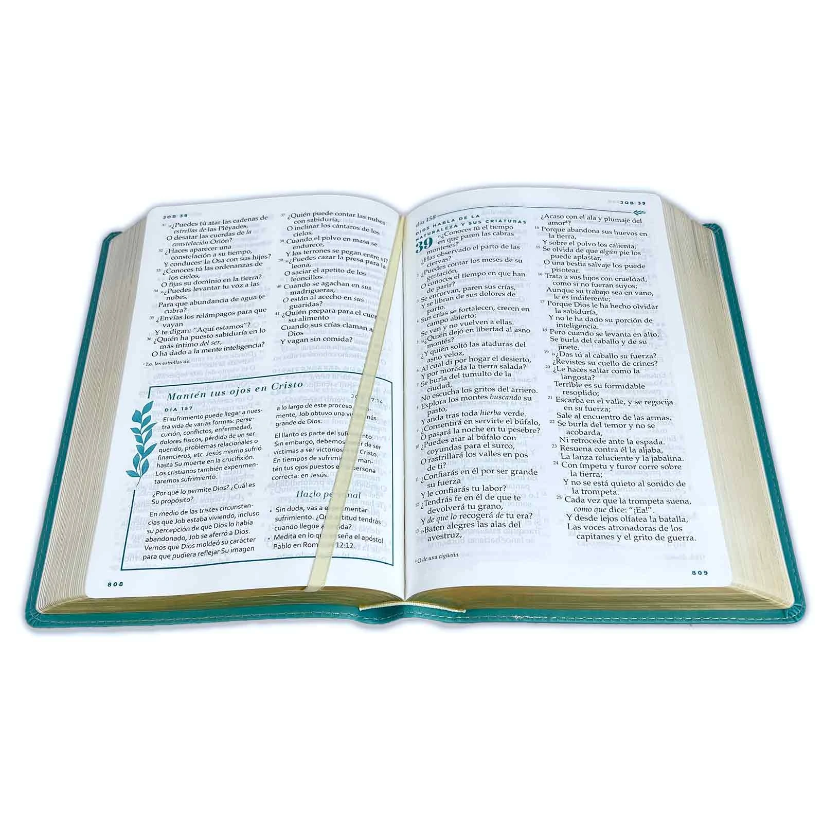 Biblia Devocional Mujer Verdadera Letra Grande NBLA, imit. piel turquesa floral - Imagen 3