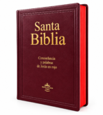 Biblia RVR 1960 Con Concordancia, Letra Grande y Palabras de Jesús en Rojo, Tapa Vinilo