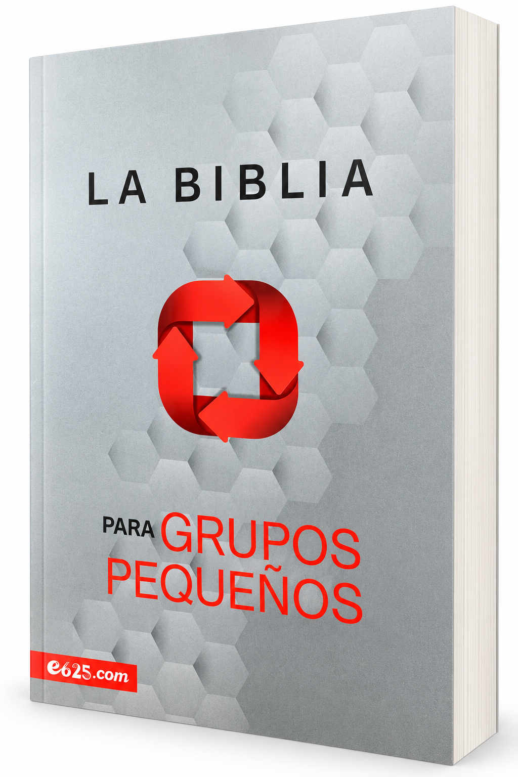 Biblia para Grupos Pequeños: Nueva Biblia Viva NBV, tapa rústica a color
