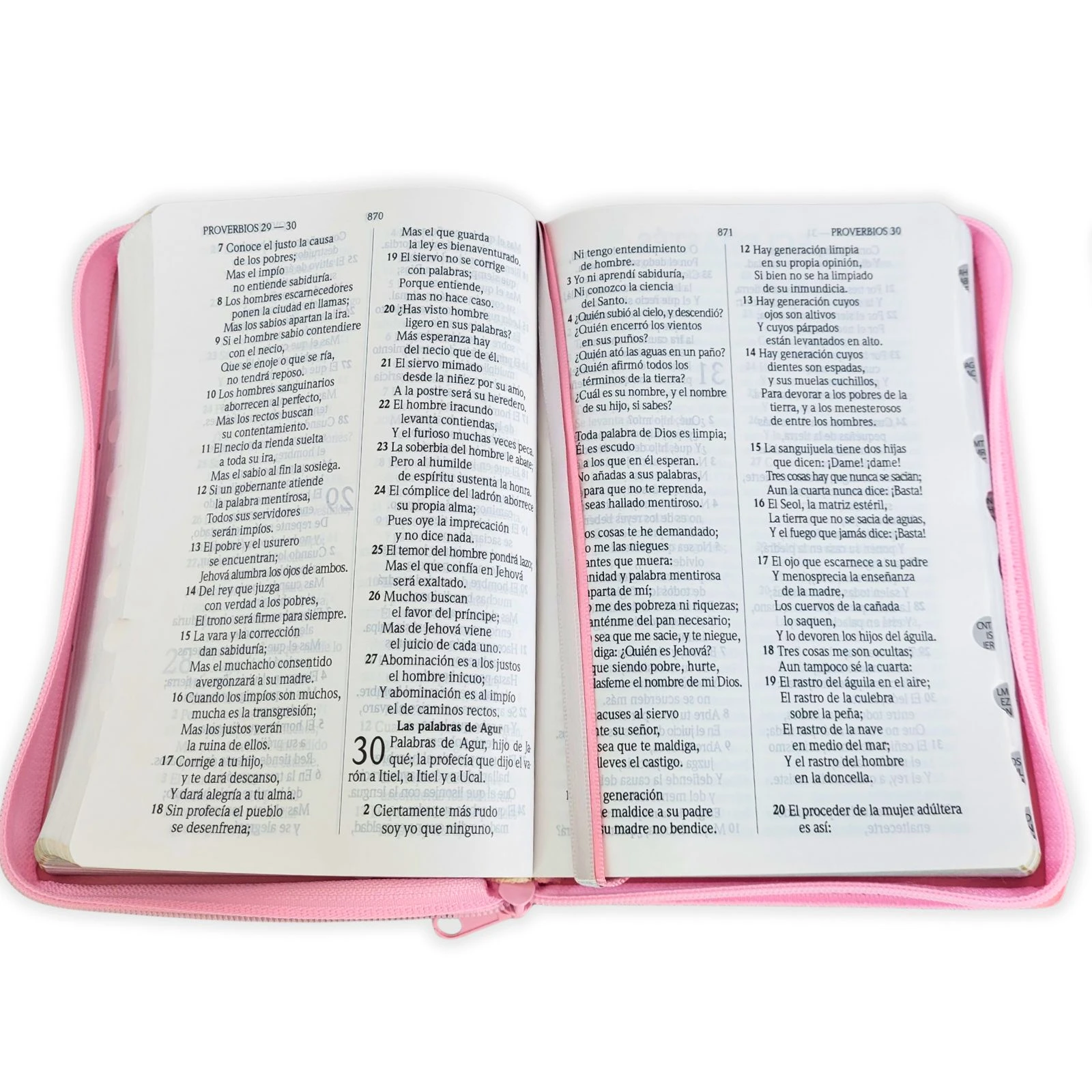 Biblia Letra Grande con Cierre y Concordancia Amplia RV1960, Manual Imit. Piel, Rosa con Indice - Imagen 2