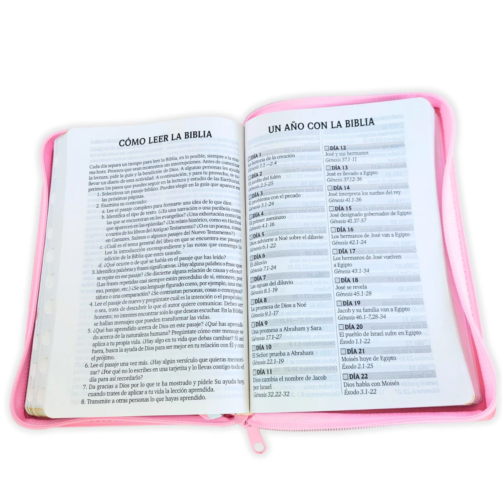 Biblia Letra Grande con Cierre y Concordancia Amplia RV1960, Manual Imit. Piel, Rosa con Indice - Imagen 4