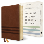 Biblia de Estudio NVI, Teología Bíblica, Imitación Piel,  Café