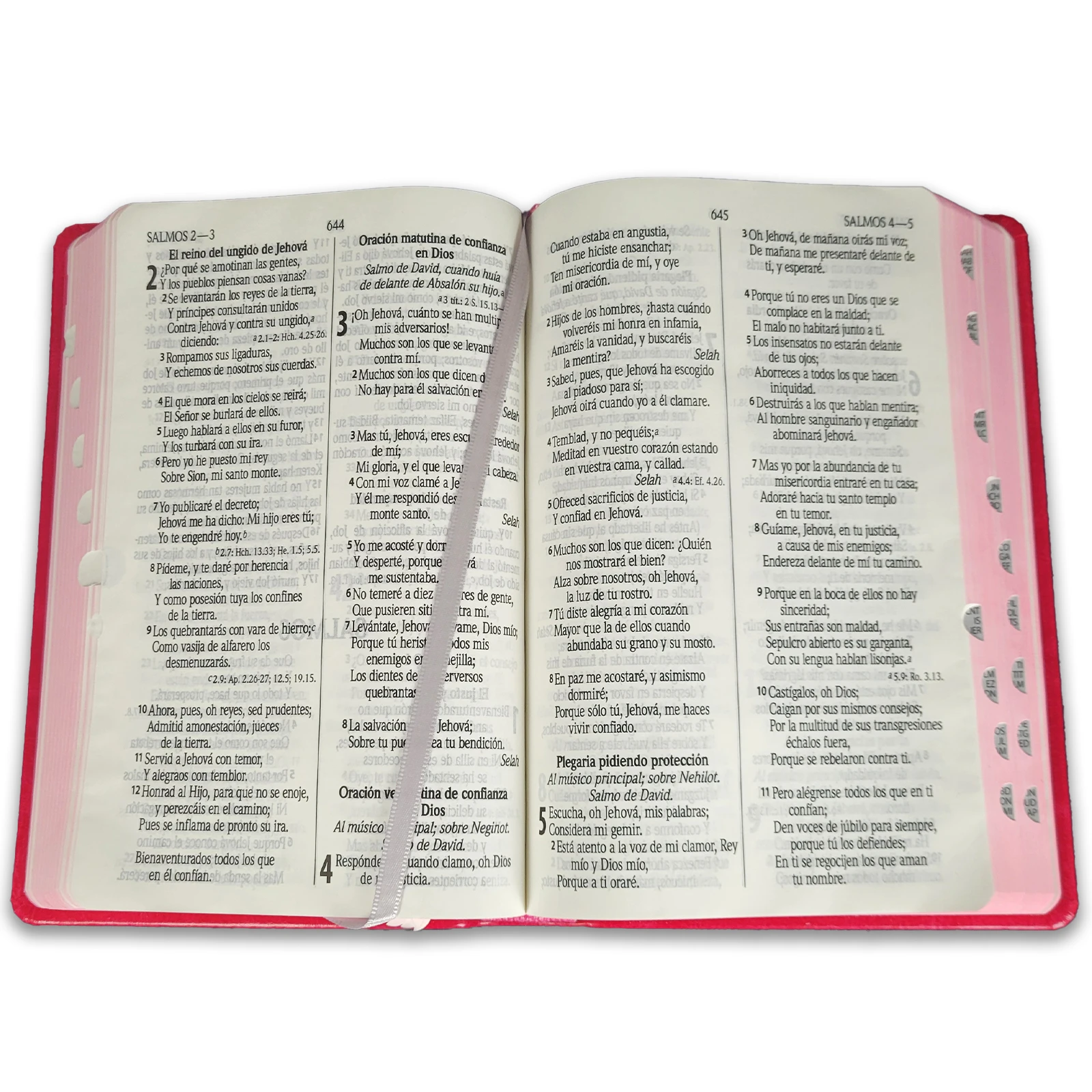 Biblia con Letra Grande Concordancia Amplia RVR1960, Tamaño Manual Imitación Piel, Fucsia con Indice - Imagen 2