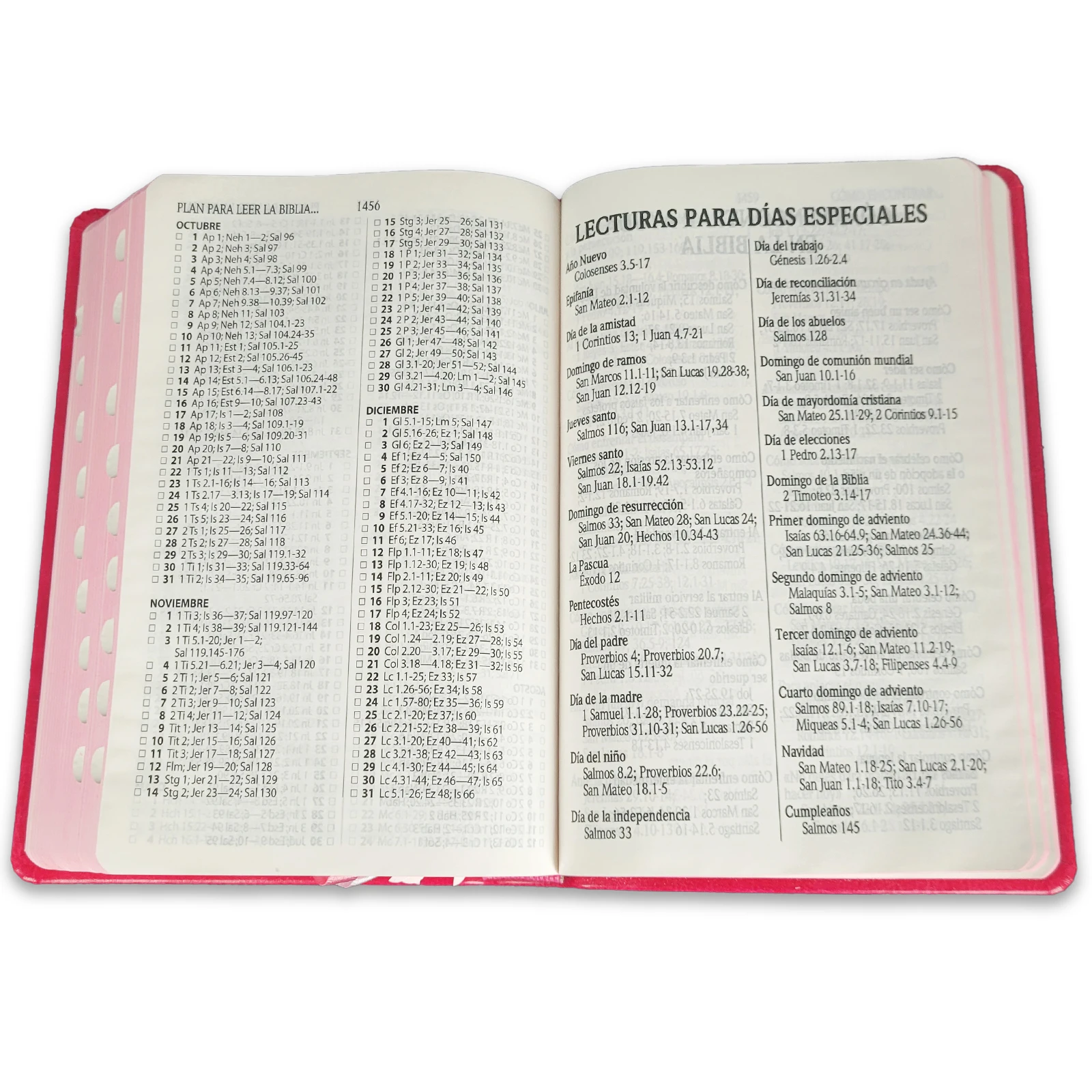 Biblia con Letra Grande Concordancia Amplia RVR1960, Tamaño Manual Imitación Piel, Fucsia con Indice - Imagen 4