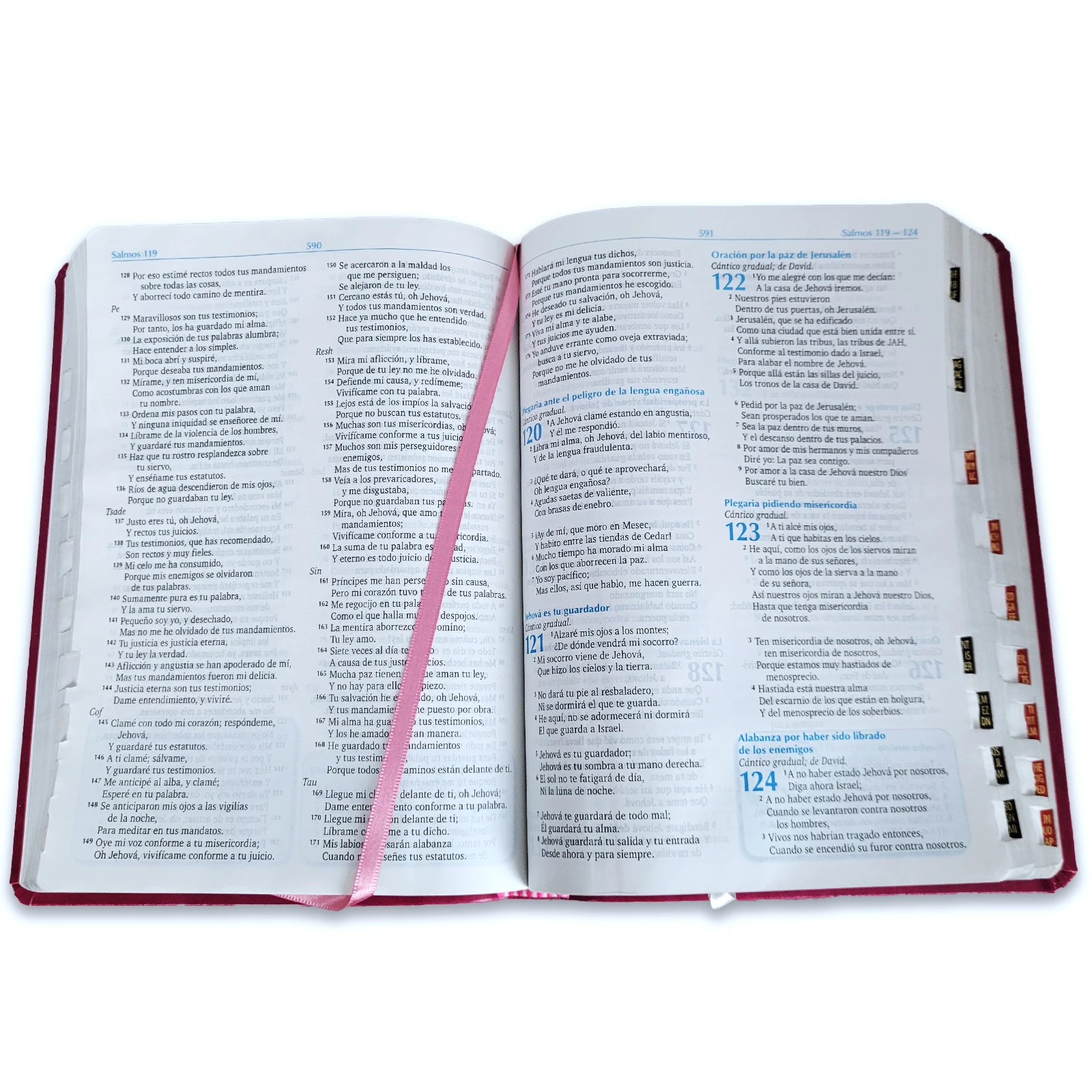 Biblia para la Predicación Letra Grande RV1960, Imit. Piel Púrpura con Indice - Imagen 4