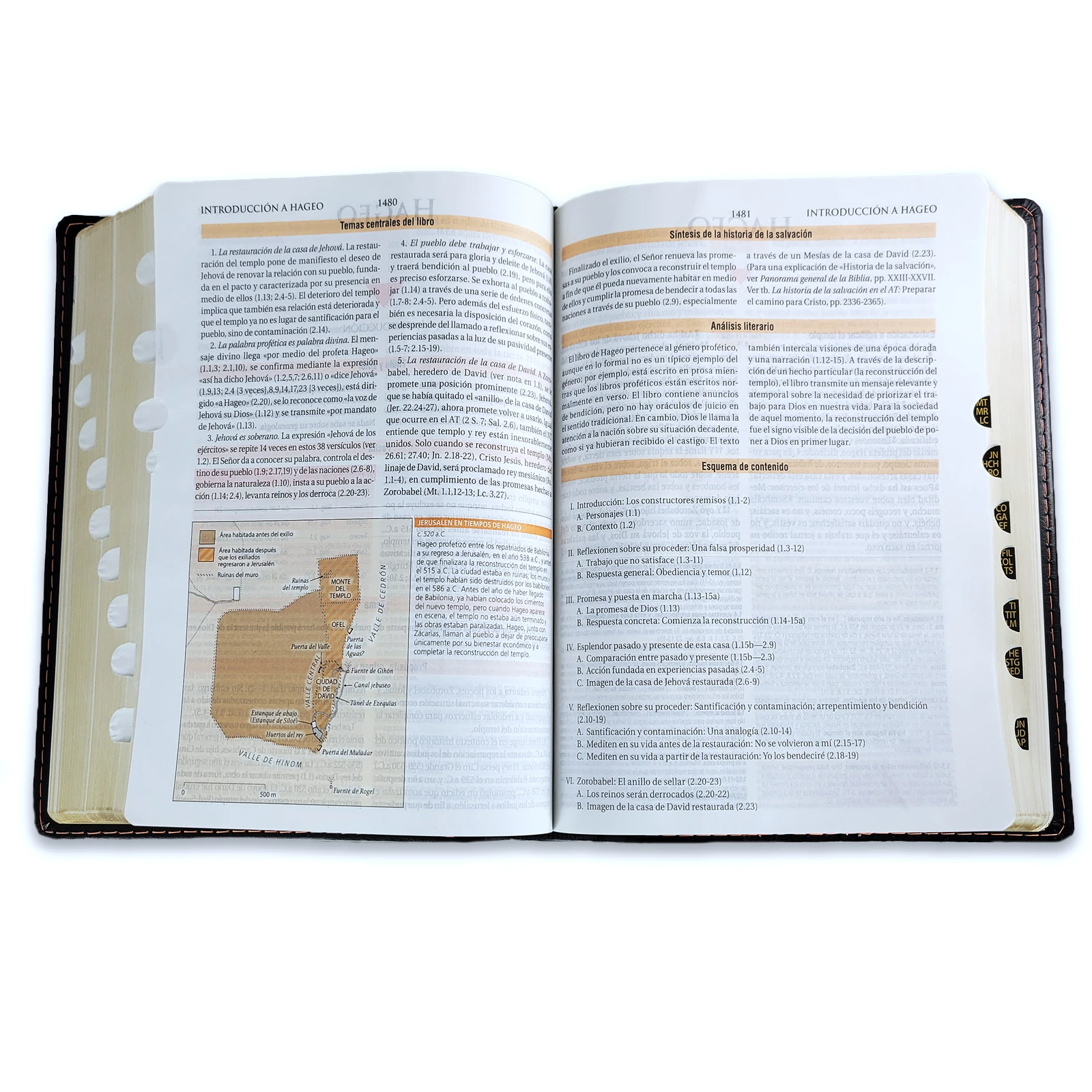 Biblia de Estudio Teológico Piel Negro con Index RV1960 - Imagen 4