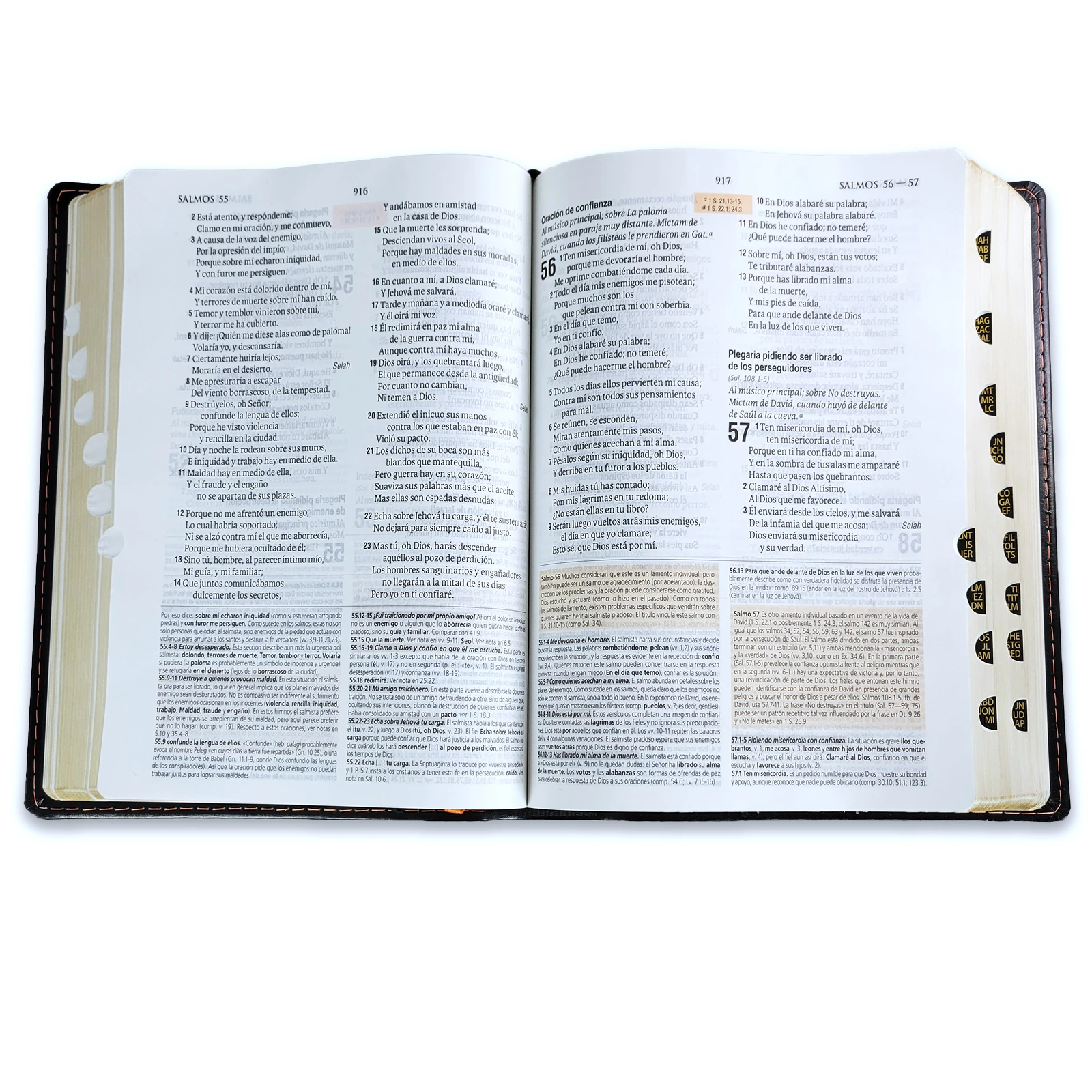 Biblia de Estudio Teológico Piel Negro con Index RV1960 - Imagen 5