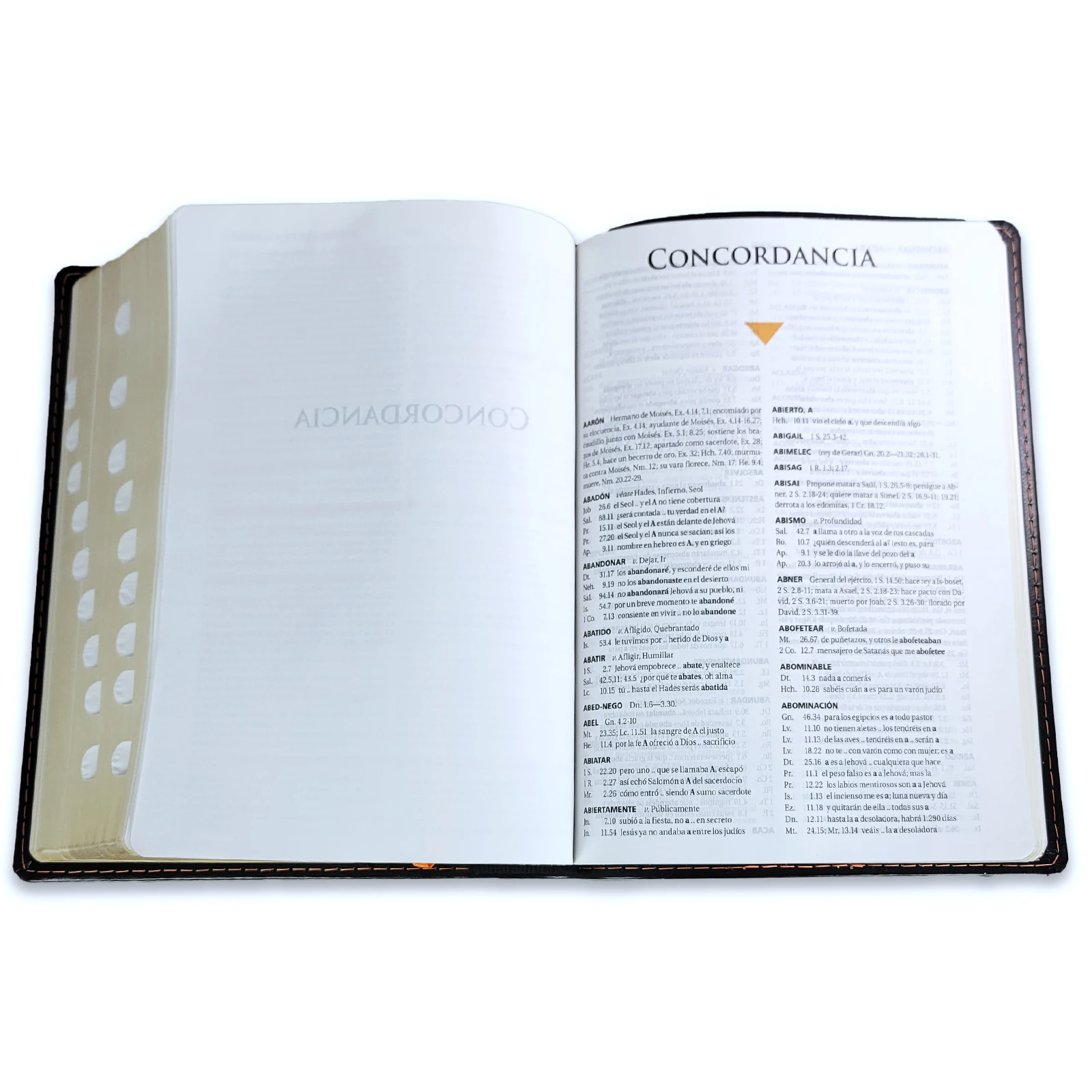 Biblia de Estudio Teológico Piel Negro con Index RV1960 - Imagen 7