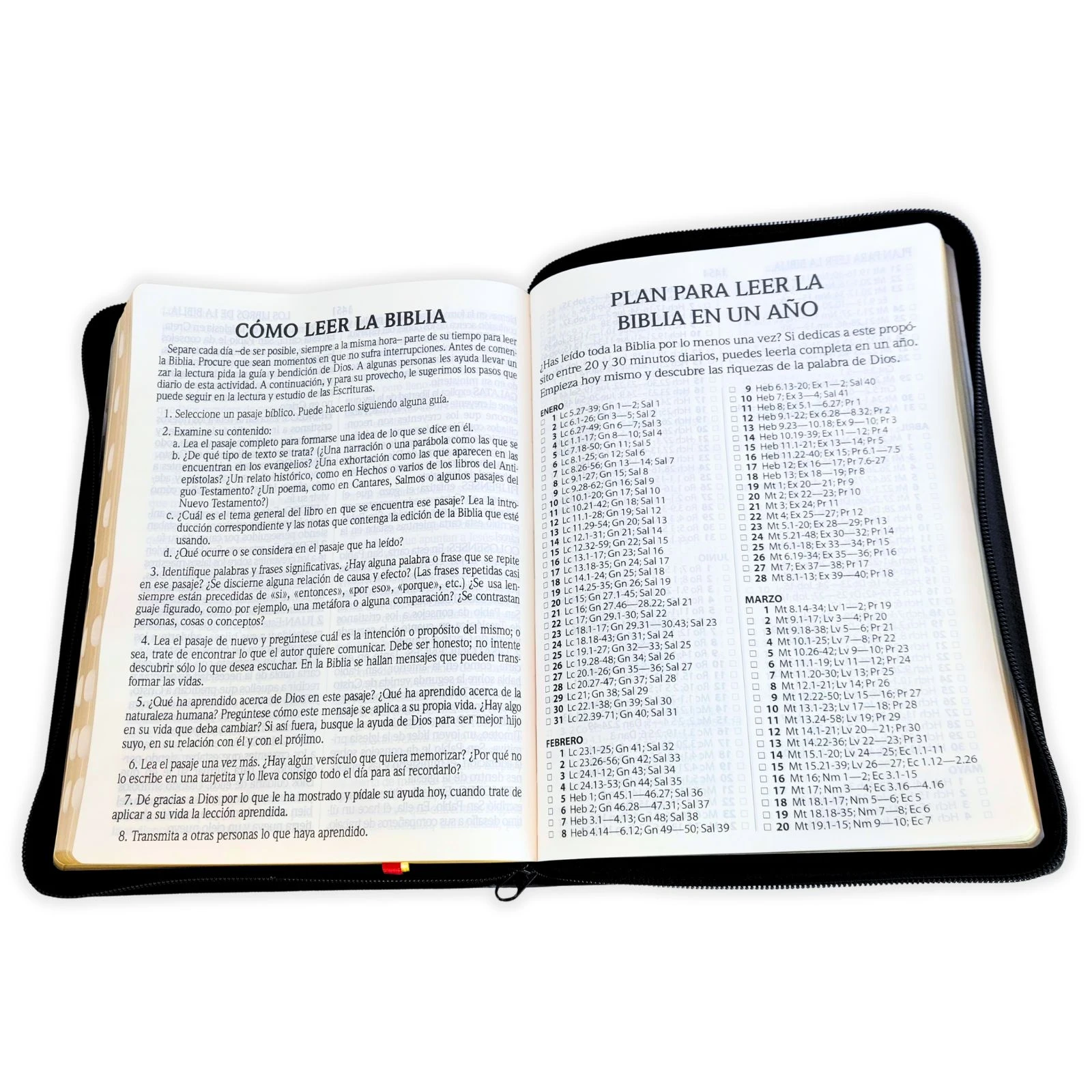 Biblia Letra Gigante 14 puntos con Cierre RV1960, imit piel negro con índice - Imagen 4