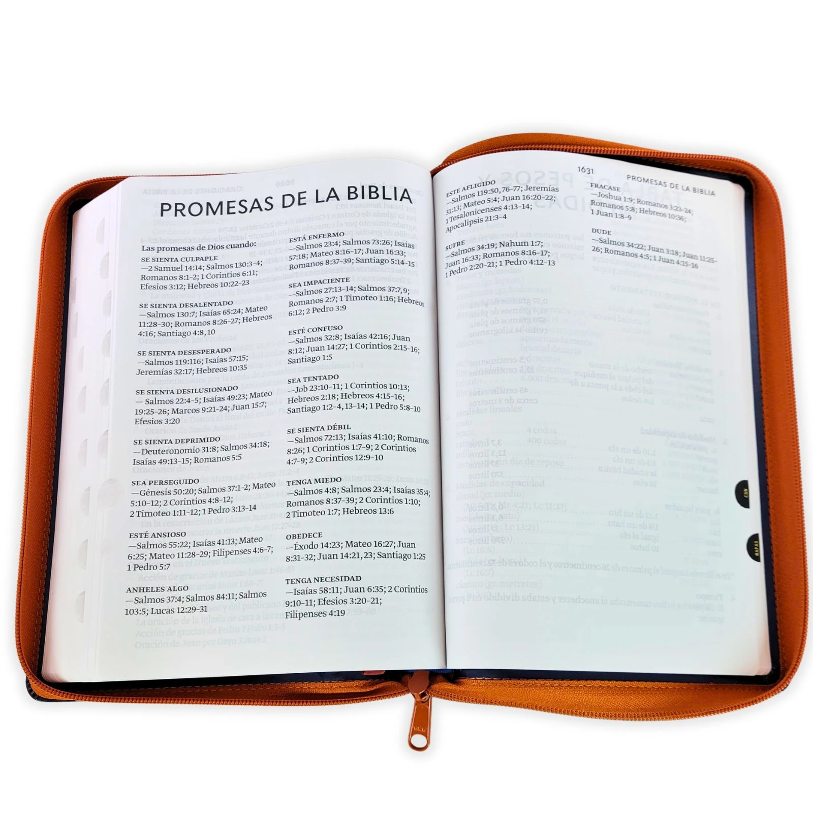 Biblia Letra Súper Gigante con Cierre RV1960, imit. piel, café y azul con índice - Imagen 5
