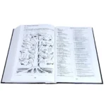 Alternative view of Biblia de Referencia Thompson, Edición Milenio RV1960, tapa dura