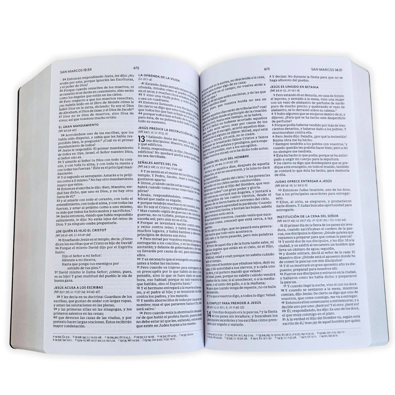 Biblia del Nuevo Creyente RV1960 Todo Nuevo, tapa flexible café - Imagen 3