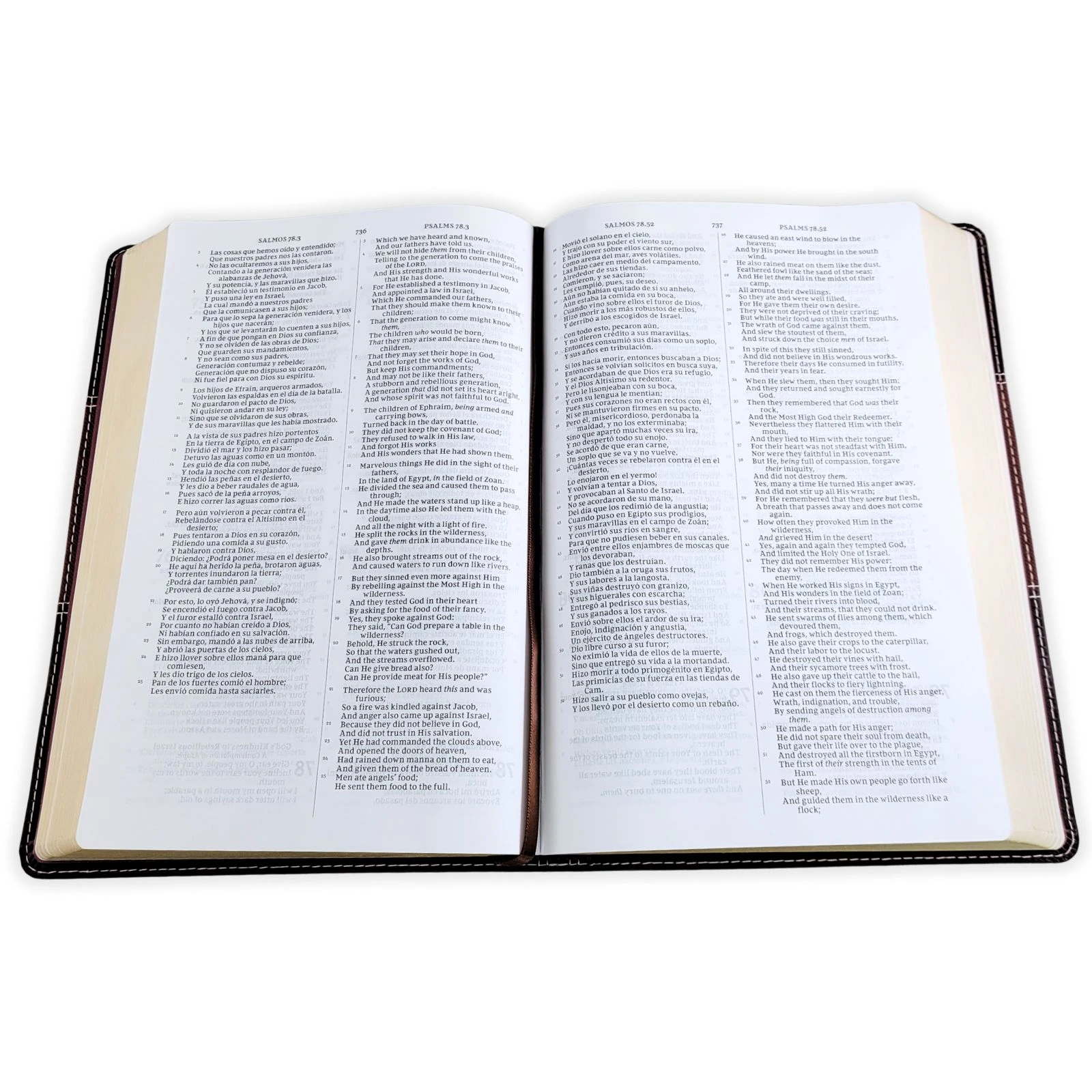 Biblia Bilingüe RV Revisada y New King James Version NKJV, imit. piel, dos tonos, café - Imagen 2