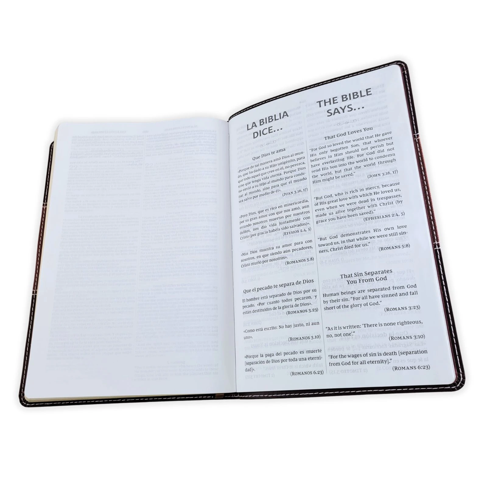 Biblia Bilingüe RV Revisada y New King James Version NKJV, imit. piel, dos tonos, café - Imagen 4