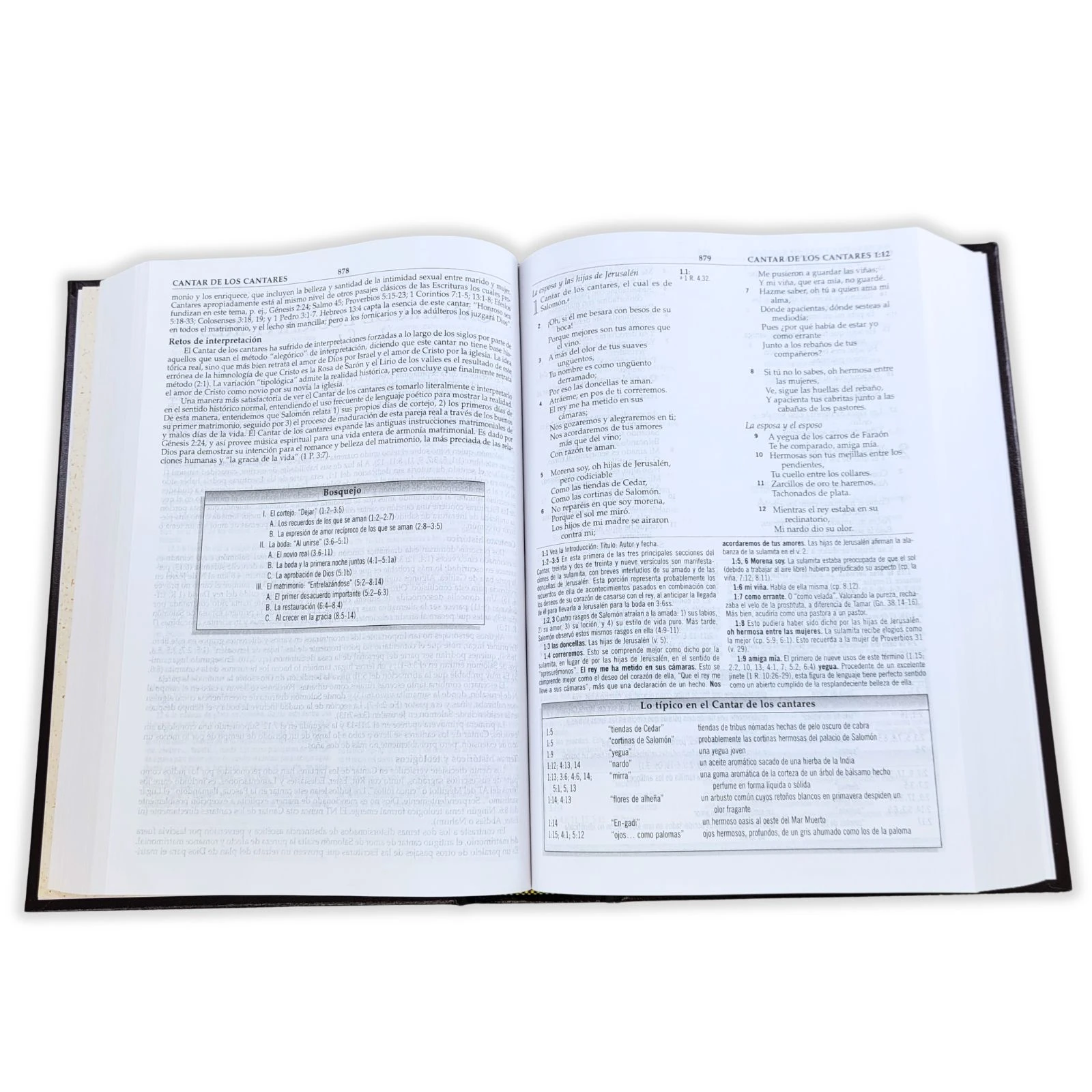 Biblia de Estudio MacArthur RVR 1960, Tapa Dura - Imagen 3