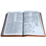 Alternative view of Biblia de Estudio MacArthur RVR 1960, Imitación Piel Negra - Marrón Claro