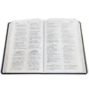 Biblia Bilingüe RV1960 y New King James Version NKJV, imit. piel, duotono, azul y verde - Imagen 2