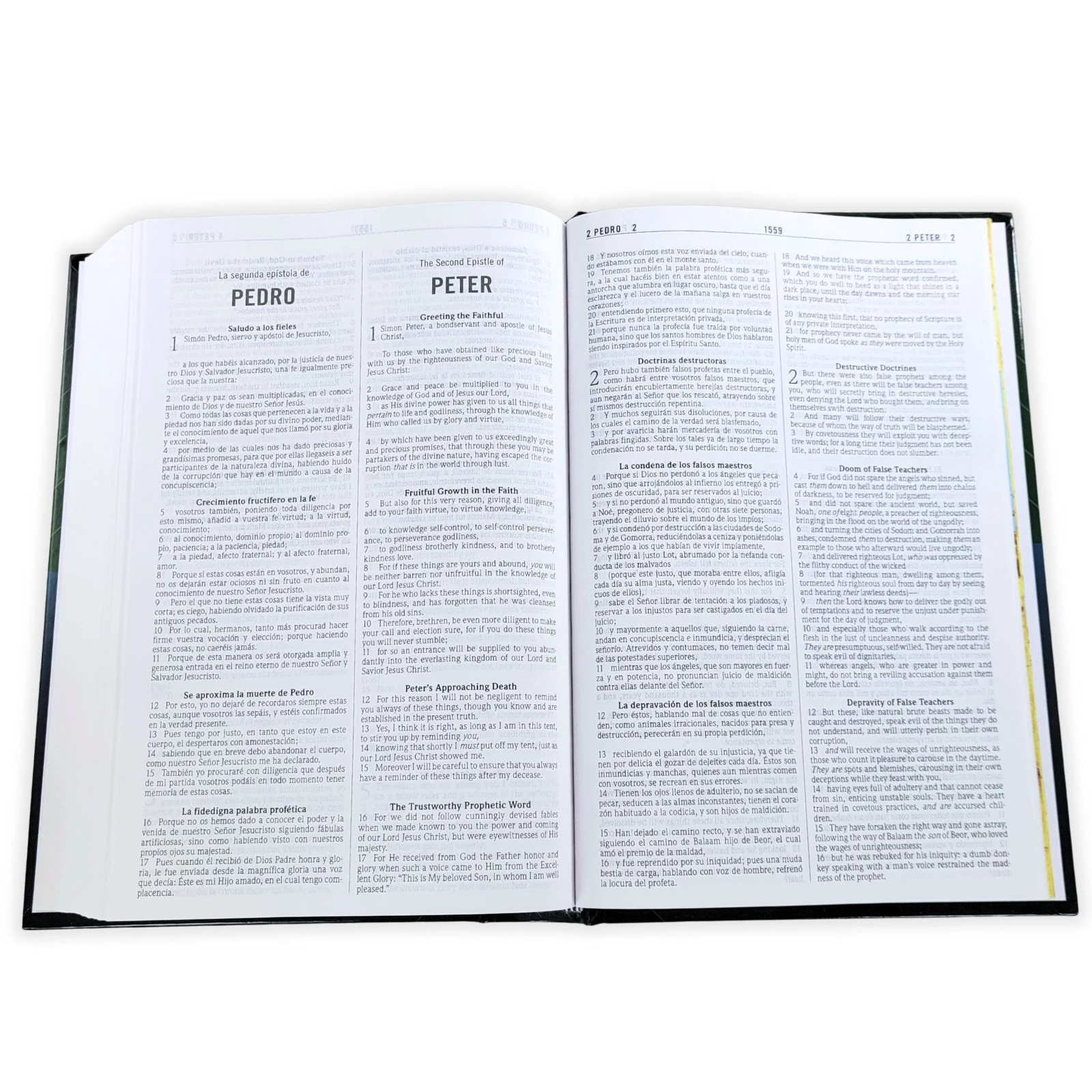 Biblia Bilingüe RV1960 y New King James Version NKJV, tapa dura duotono azul y verde - Imagen 4