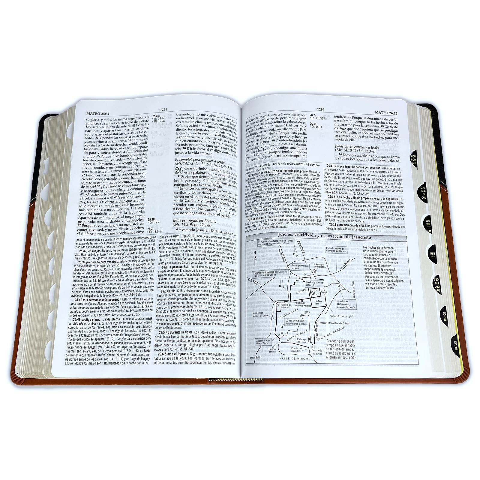 Biblia de Estudio MacArthur RV1960, imit. piel, duotono café con índice - Imagen 2