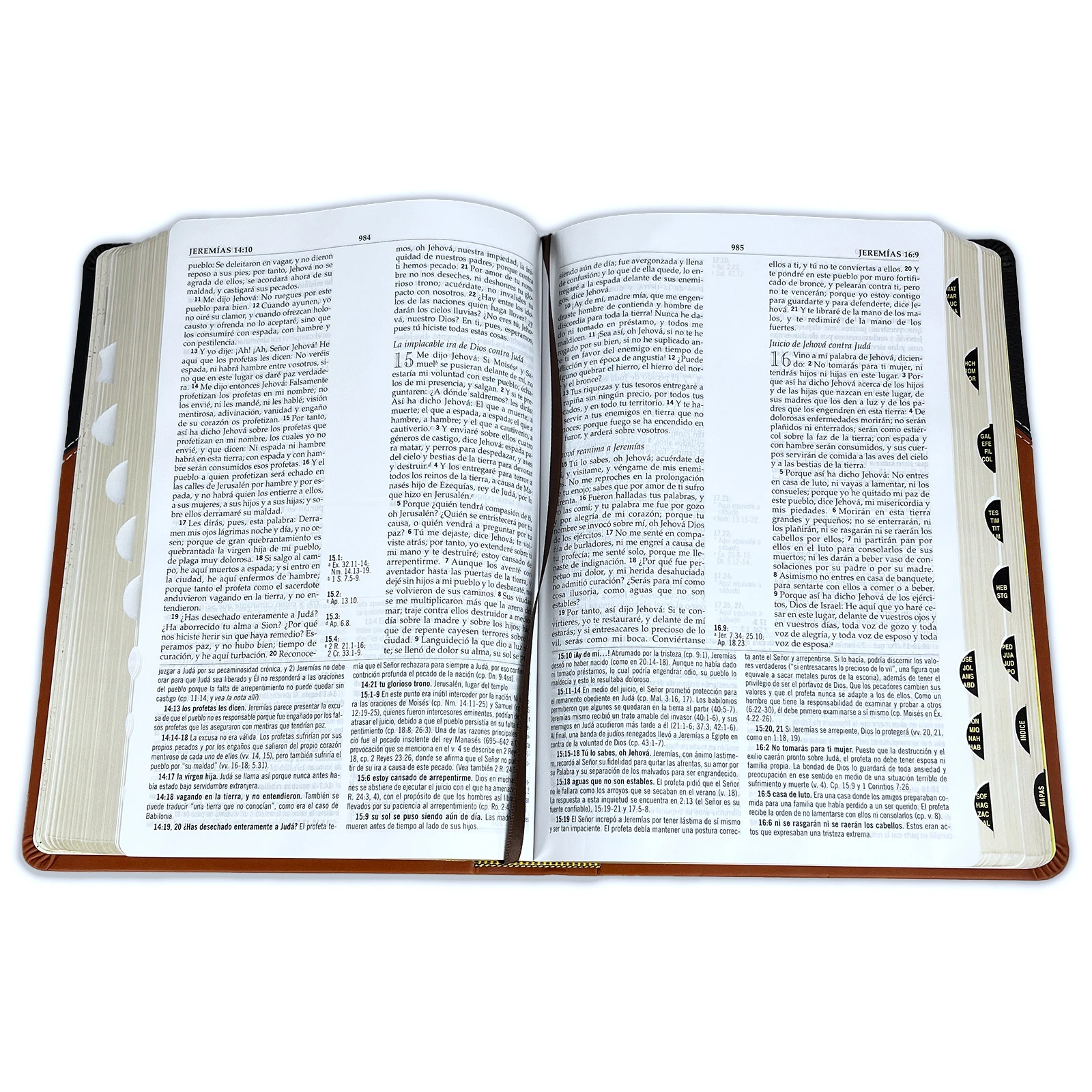 Biblia de Estudio MacArthur RV1960, imit. piel, duotono café con índice - Imagen 4