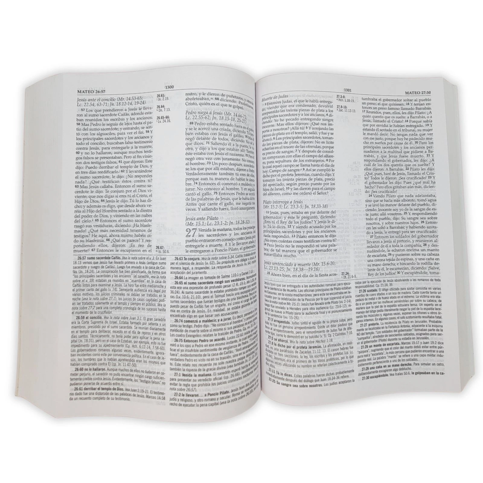 Biblia de Estudio MacArthur RV1960, tapa rústica - Imagen 2