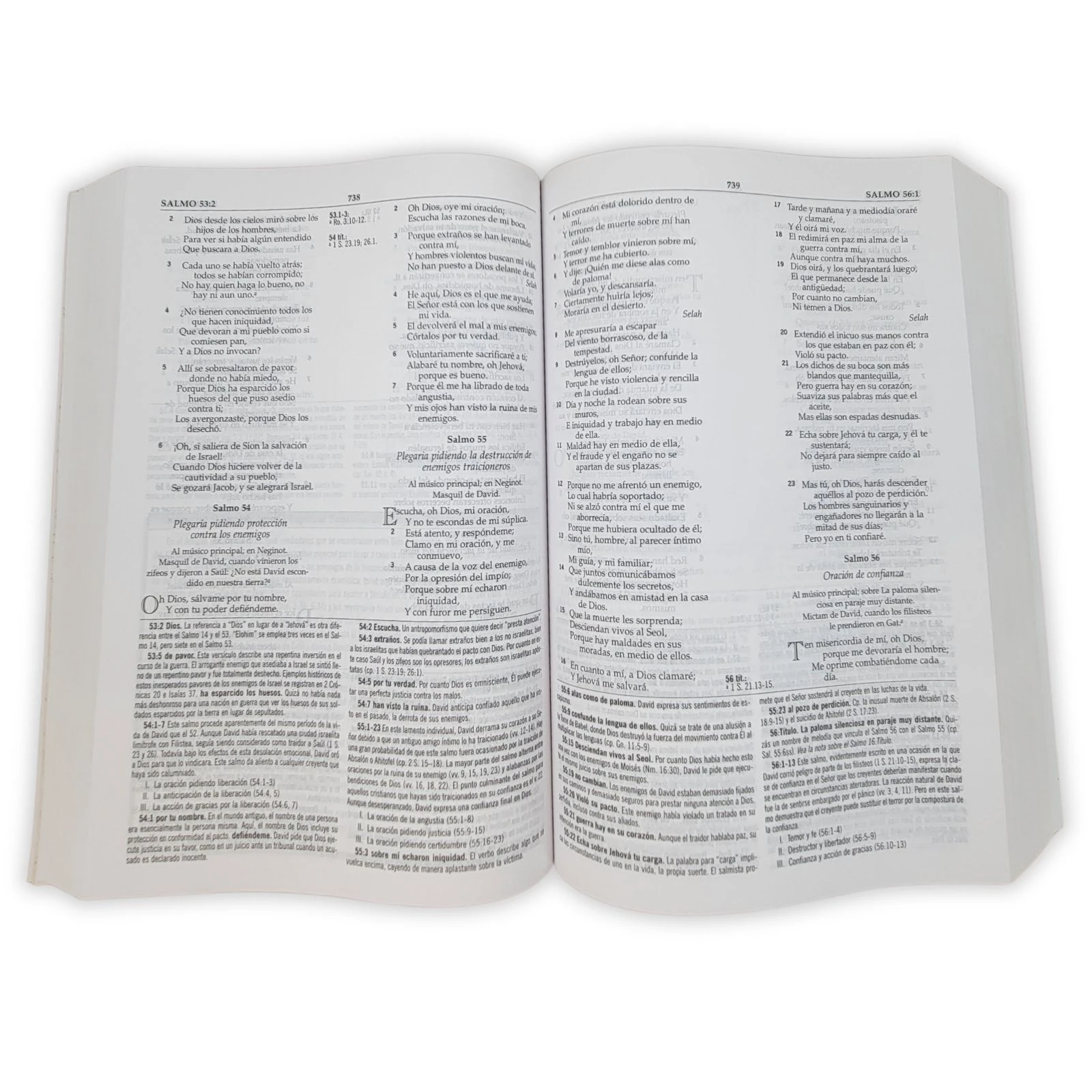 Biblia de Estudio MacArthur RV1960, tapa rústica - Imagen 3