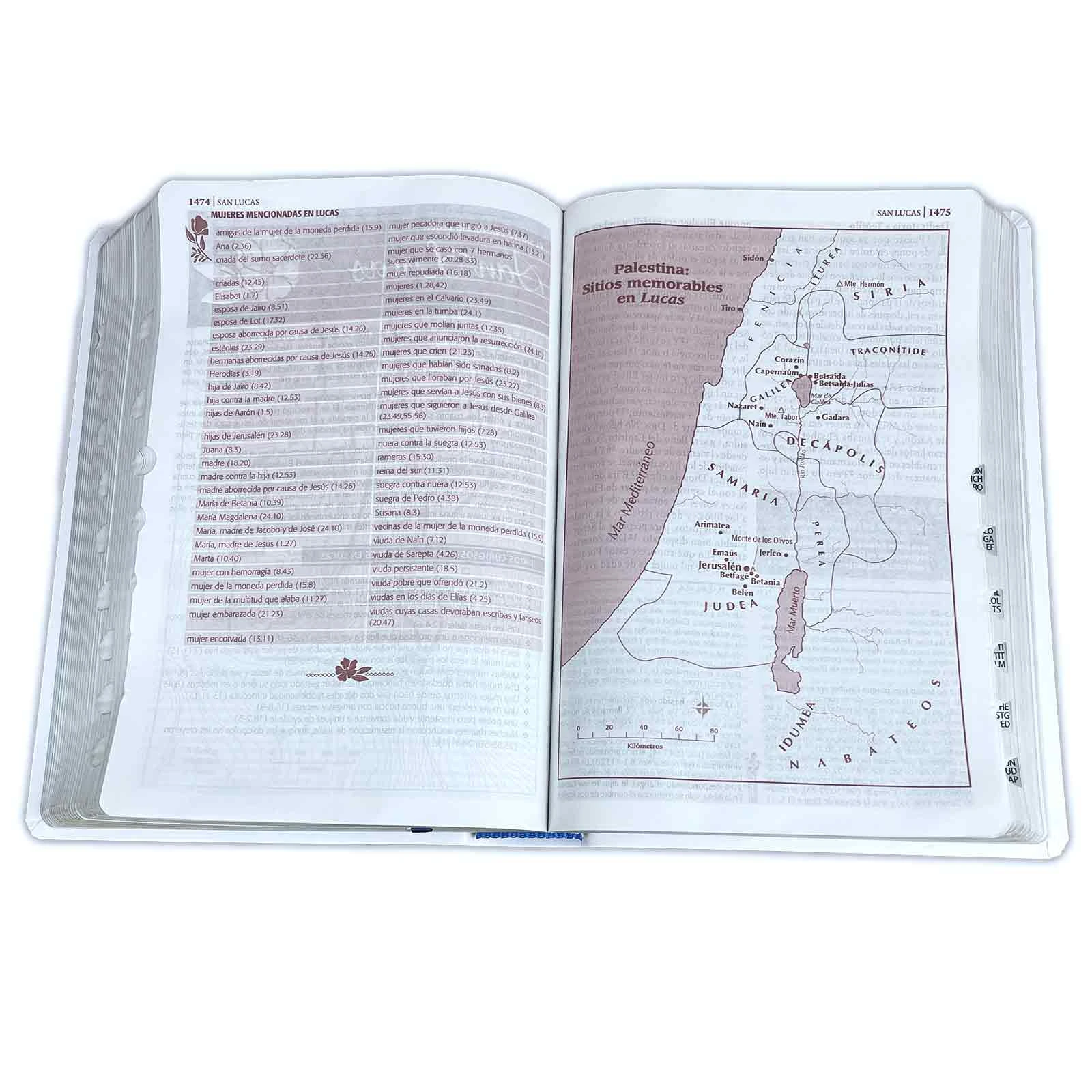 Biblia de Estudio Ser Mujer Letra Grande RV1960, imit. piel blanco floral con índice - Imagen 5