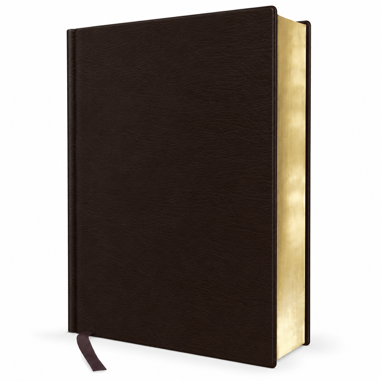 Biblia Bilingüe RVR60 / NIV - Imitación Piel - Negro