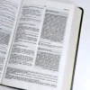 Biblia Plenitud RVR 1960, Piel Fabricada Negro - Imagen 3
