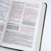 Biblia Plenitud RVR 1960, Piel Fabricada Negro - Imagen 4