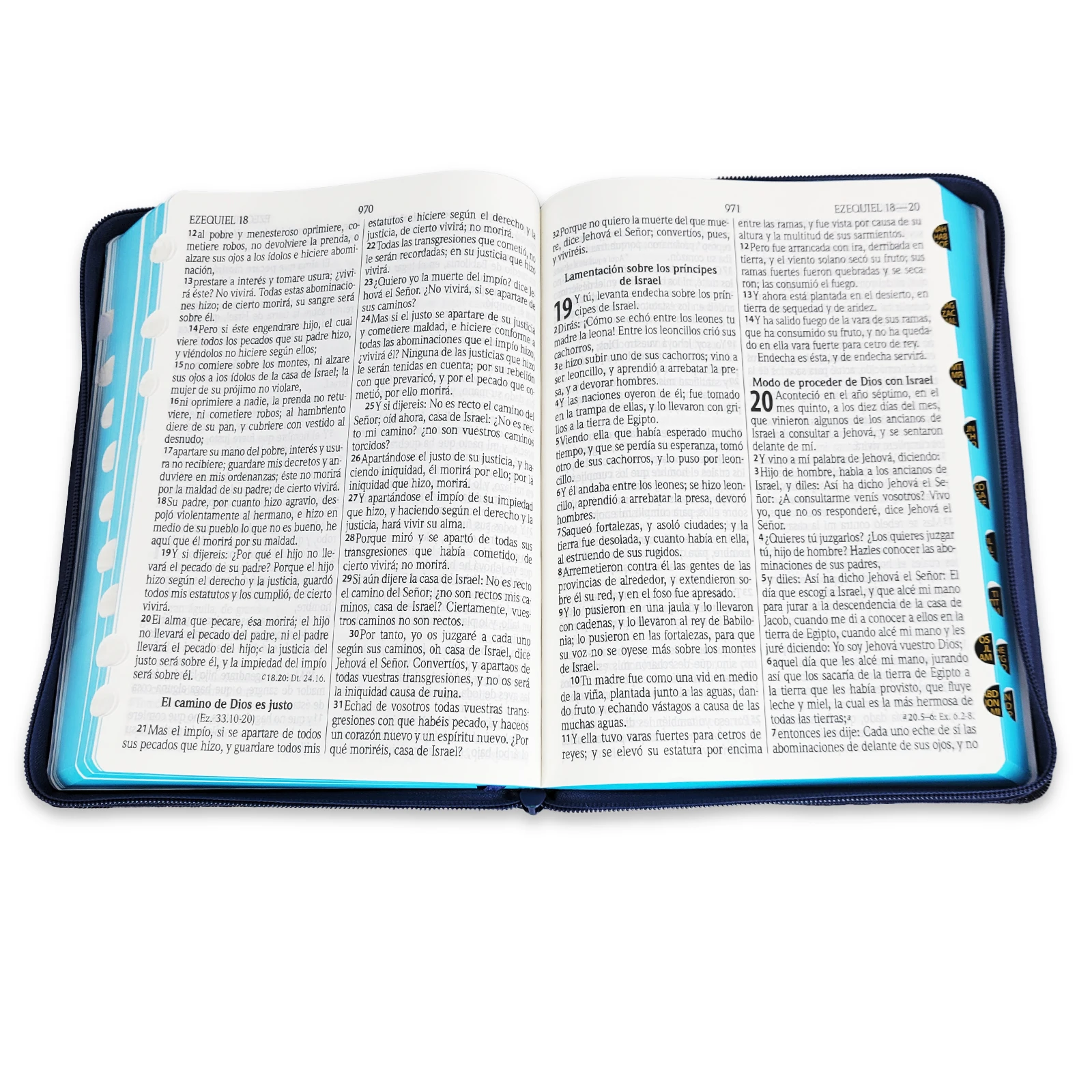 Biblia Reina Valera 1960 Letra Gigante De 14 puntos Con Cierre Tela Jean e Indice - Imagen 3