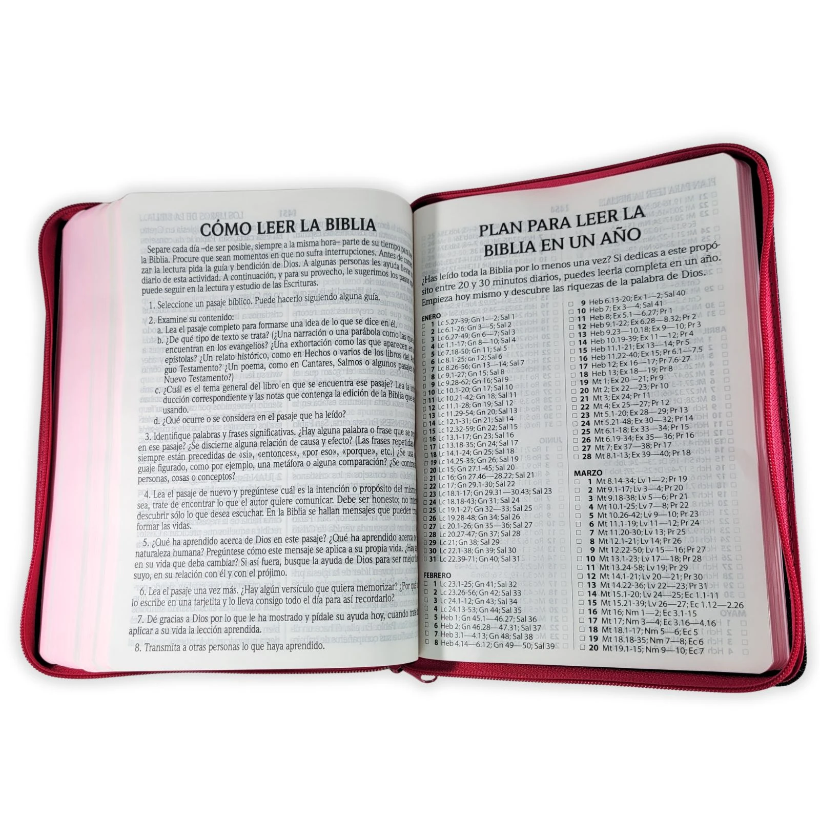 Biblia Jean Letra Gigante 14 puntos con cierre RV1960, tela jean - fucsia - Imagen 4