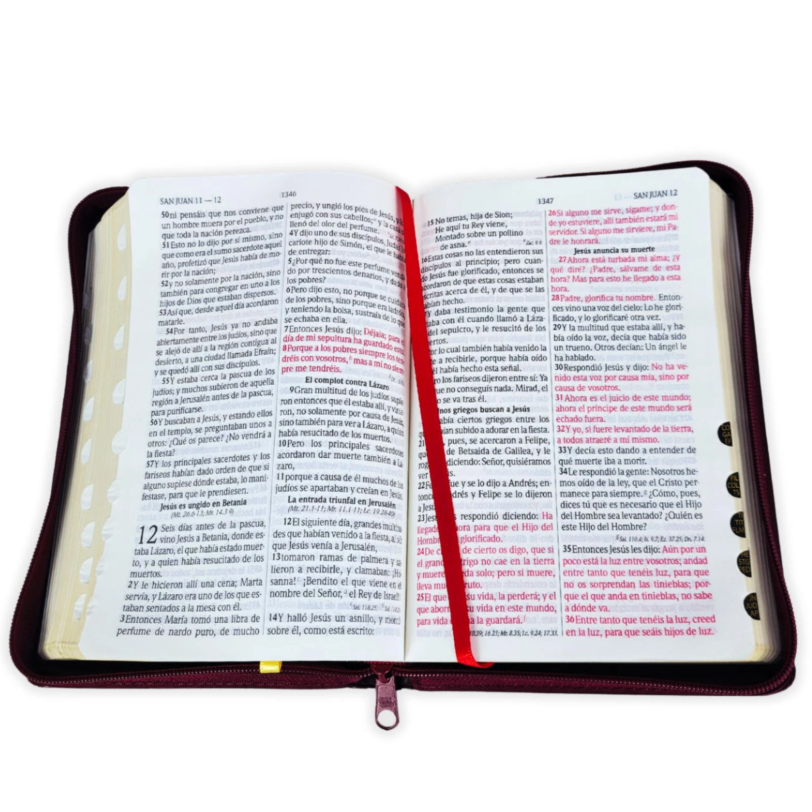 Biblia Letra Grande Concordancia Amplia RVR1960, Manual, con Cierre Tapa Acolchada Vino con Indice - Imagen 5