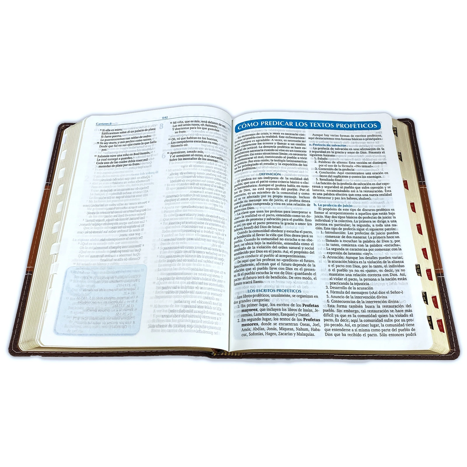Biblia para la Predicación Letra Grande RV1960, imit. piel dos tonos marrón con índice - Imagen 6