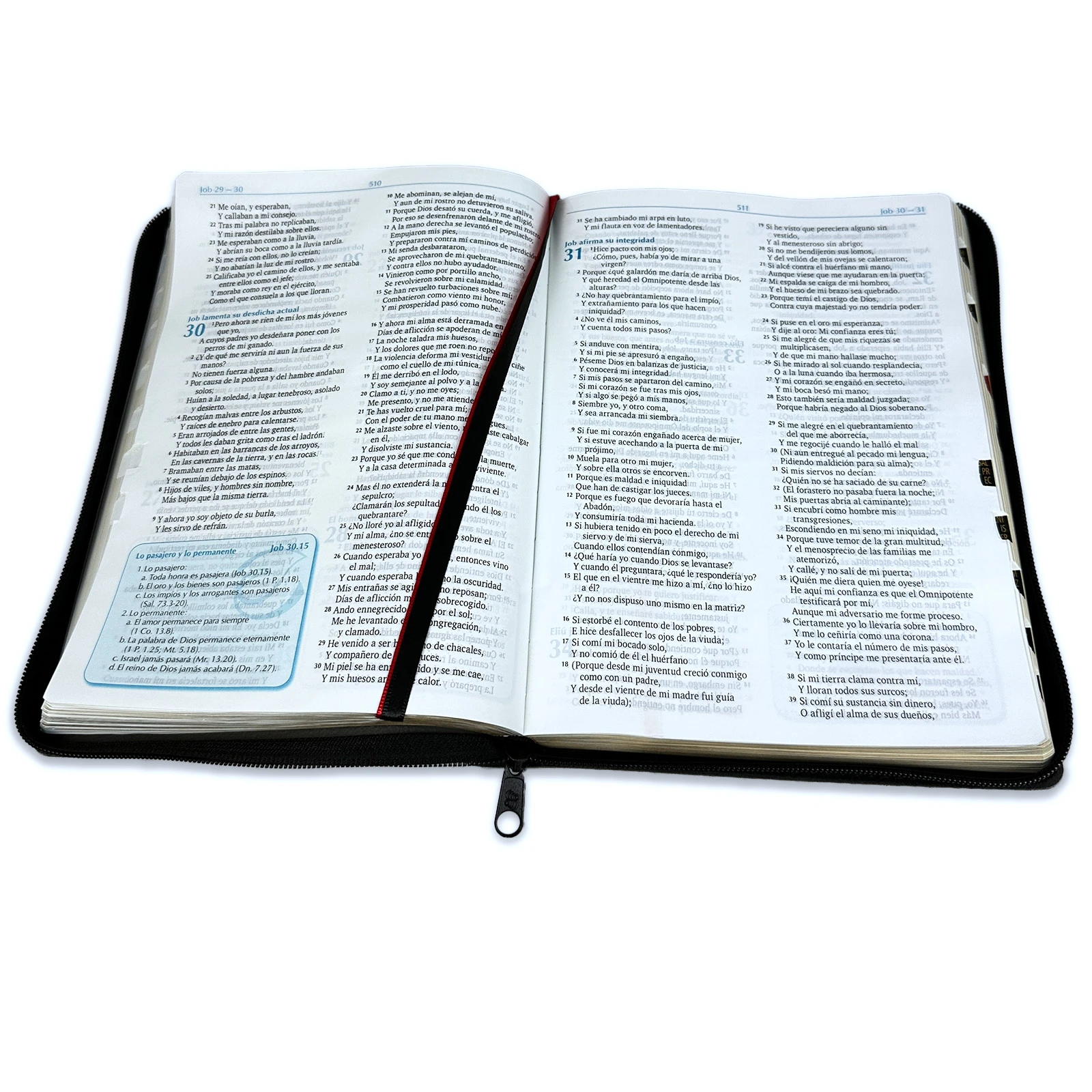 Biblia para la Predicación con Cierre y Letra Grande RV1960, Imit. Piel, Negro con Indice - Imagen 3