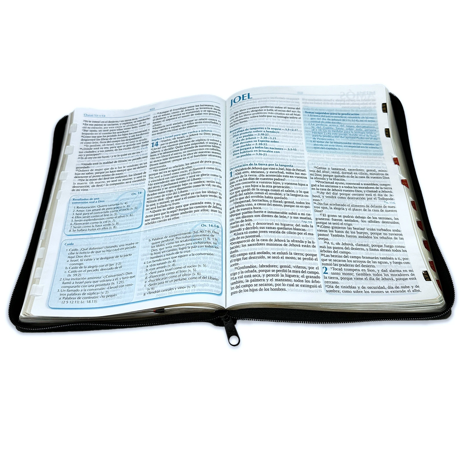 Biblia para la Predicación con Cierre y Letra Grande RV1960, Imit. Piel, Negro con Indice - Imagen 5