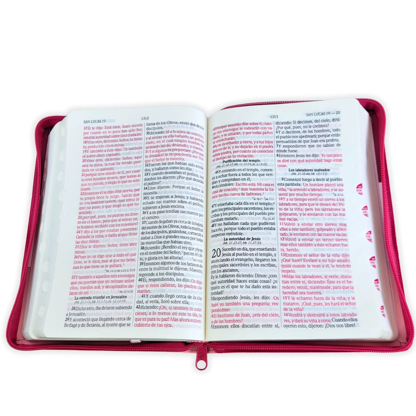 Biblia Letra Grande con Cierre RV1960, Tamaño Manual Imitación Piel, Rosa, con Indice - Imagen 3