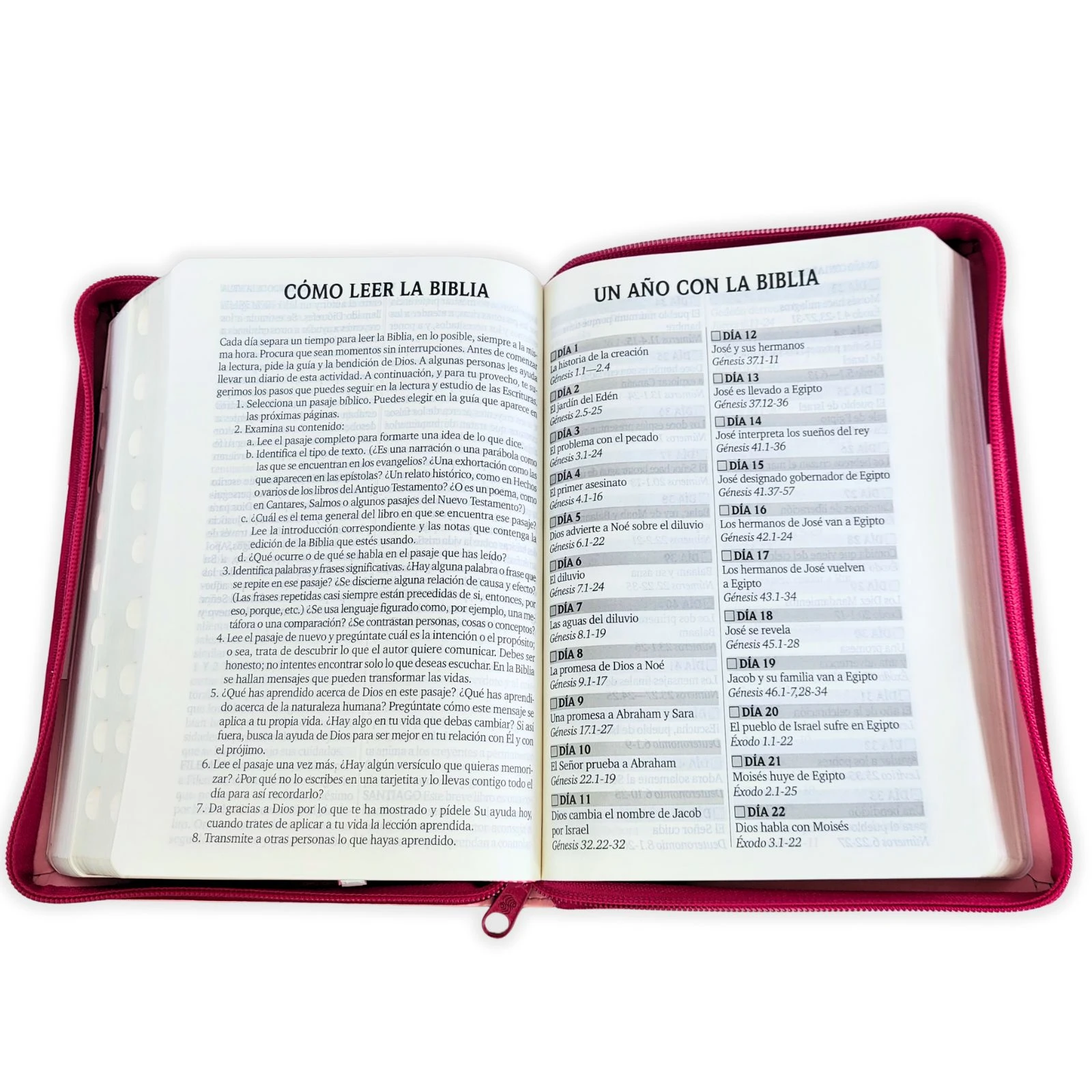 Biblia Letra Grande con Cierre RV1960, Tamaño Manual Imitación Piel, Rosa, con Indice - Imagen 4