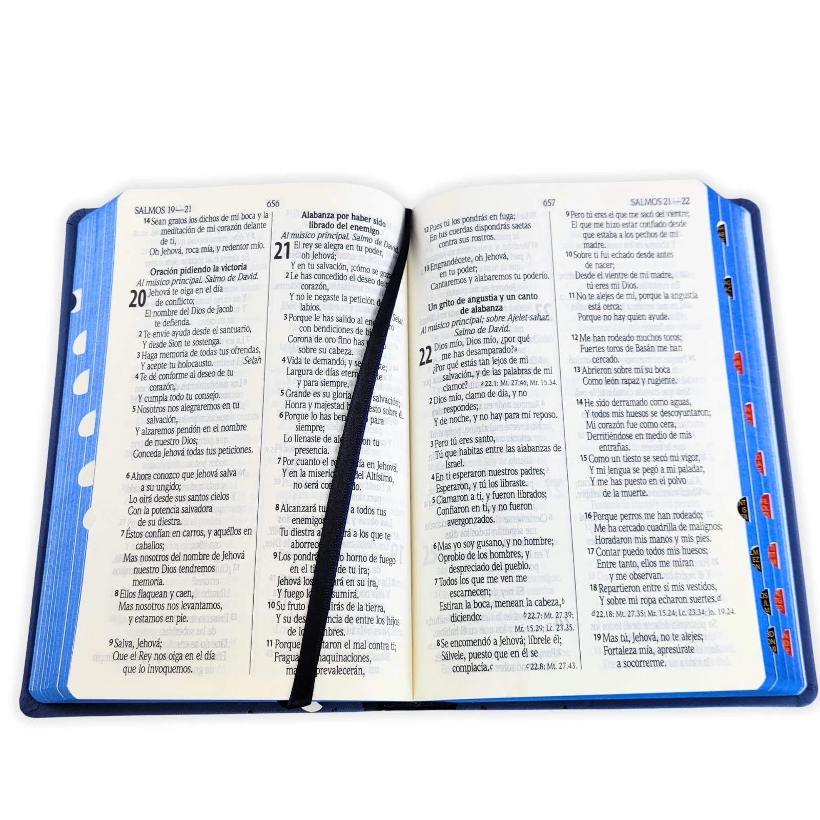 Biblia Letra Grande Manual RV1960, Imit Piel Azul con Indice - Imagen 2