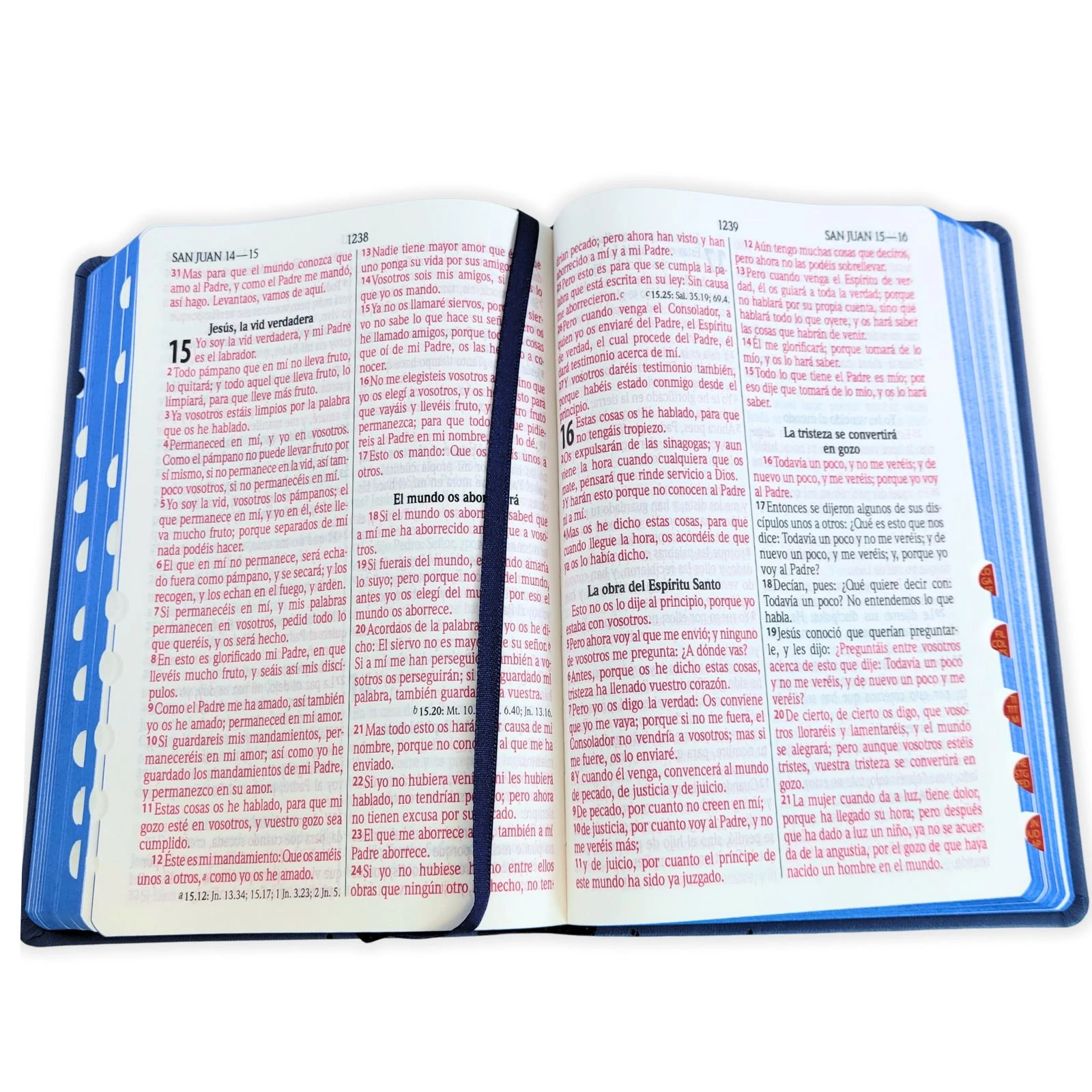 Biblia Letra Grande Manual RV1960, Imit Piel Azul con Indice - Imagen 3