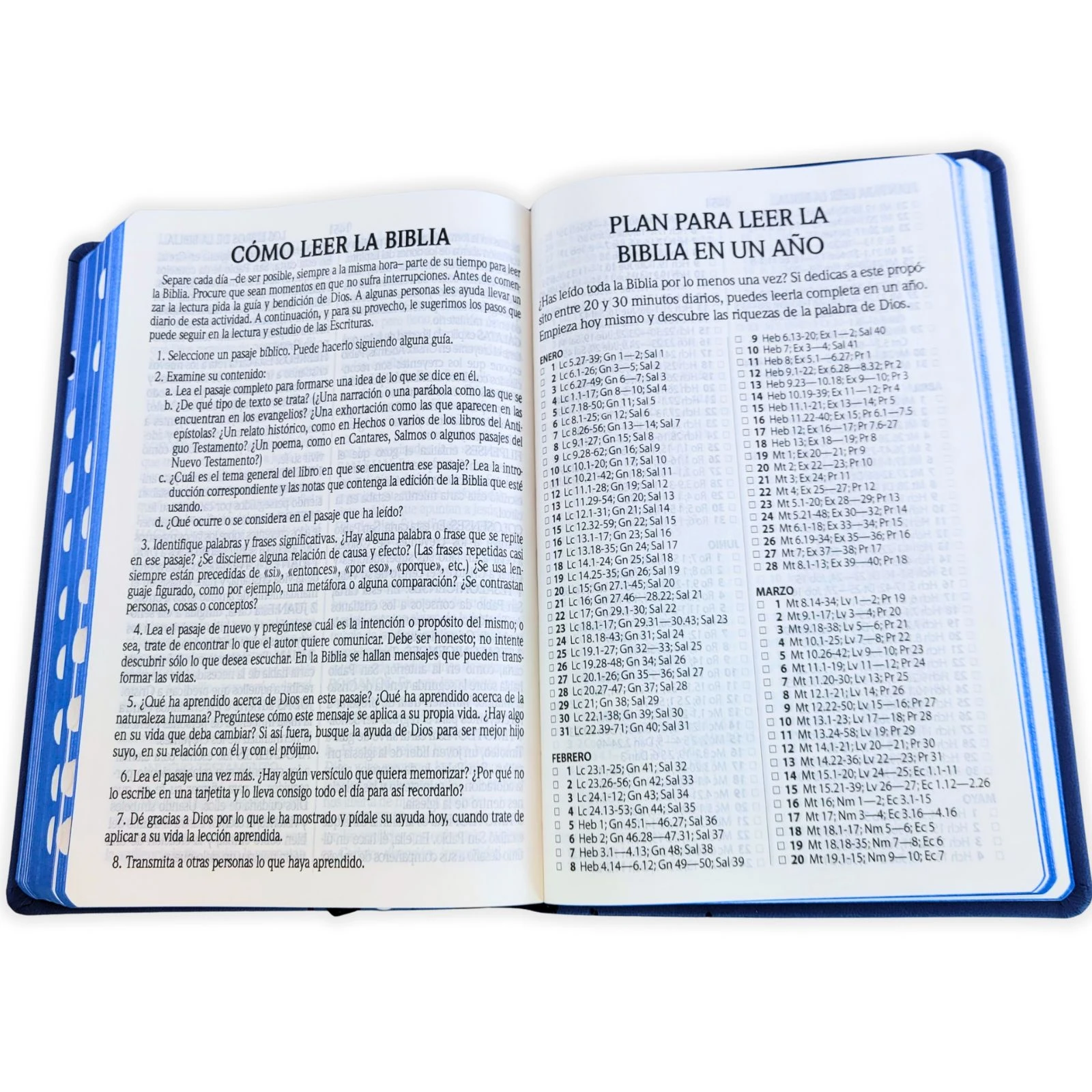 Biblia Letra Grande Manual RV1960, Imit Piel Azul con Indice - Imagen 4
