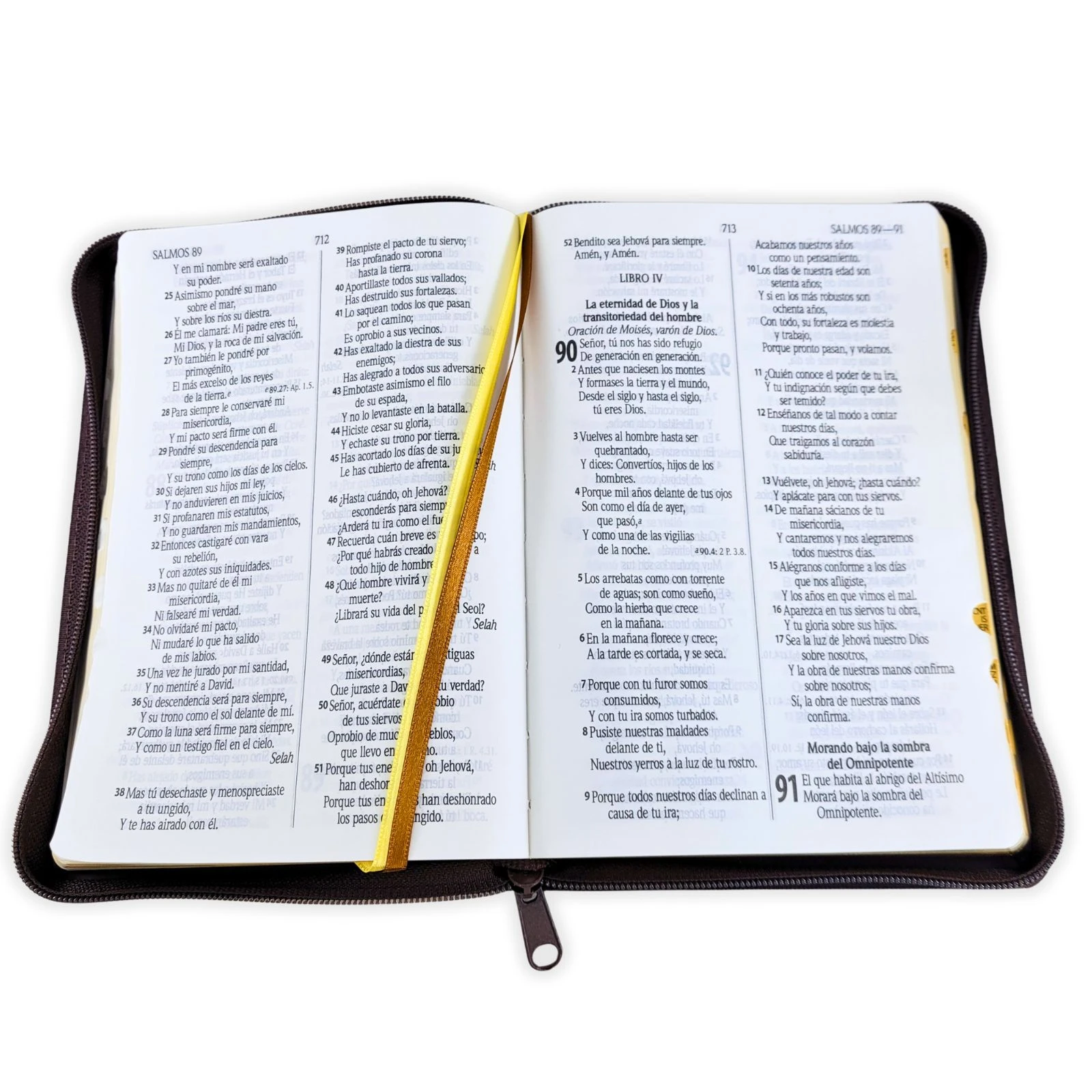 Biblia Reina Valera 1960 León Imitación Piel Marrón, Canto Dorado, Indice, Con Cierre - Imagen 2
