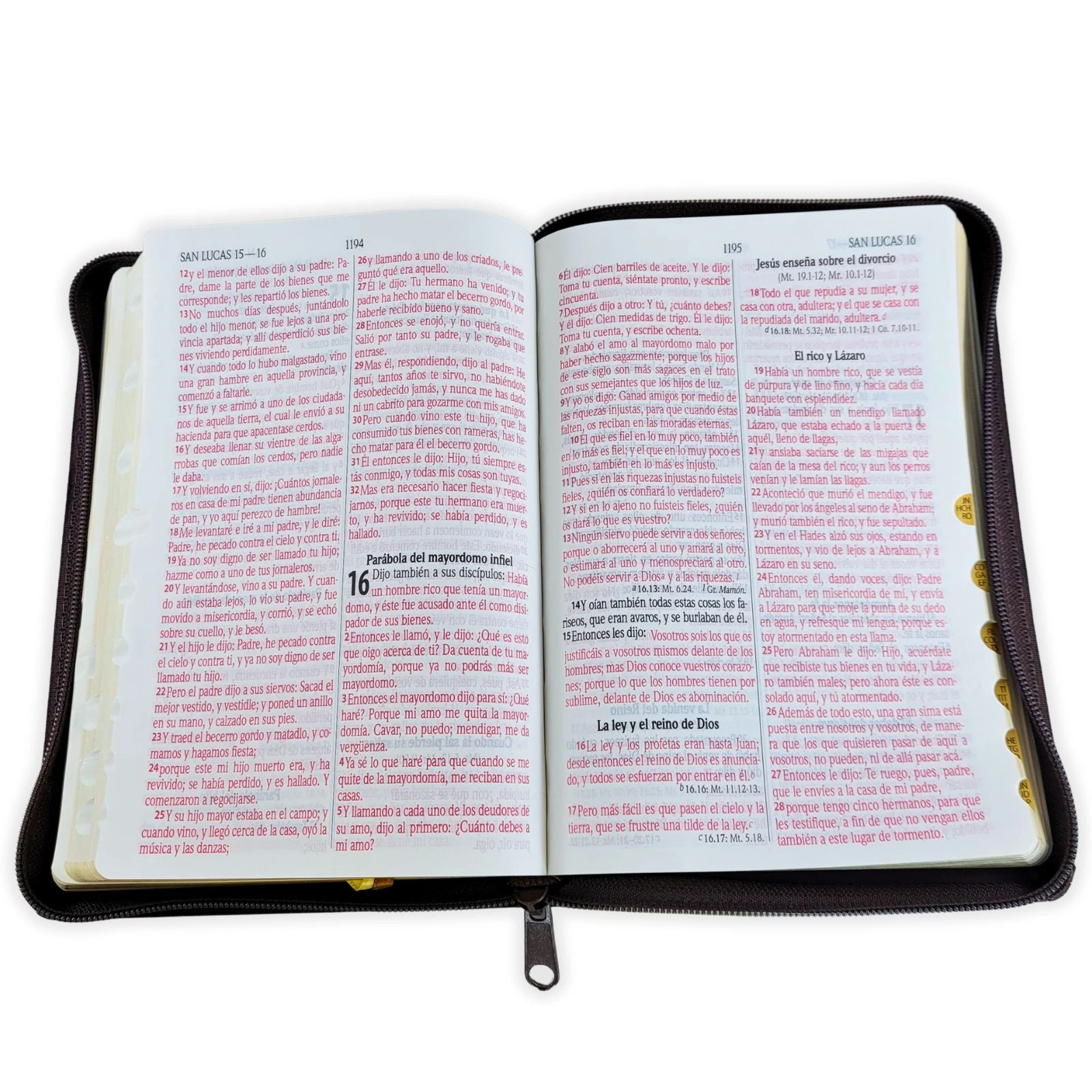 Biblia Reina Valera 1960 León Imitación Piel Marrón, Canto Dorado, Indice, Con Cierre - Imagen 3