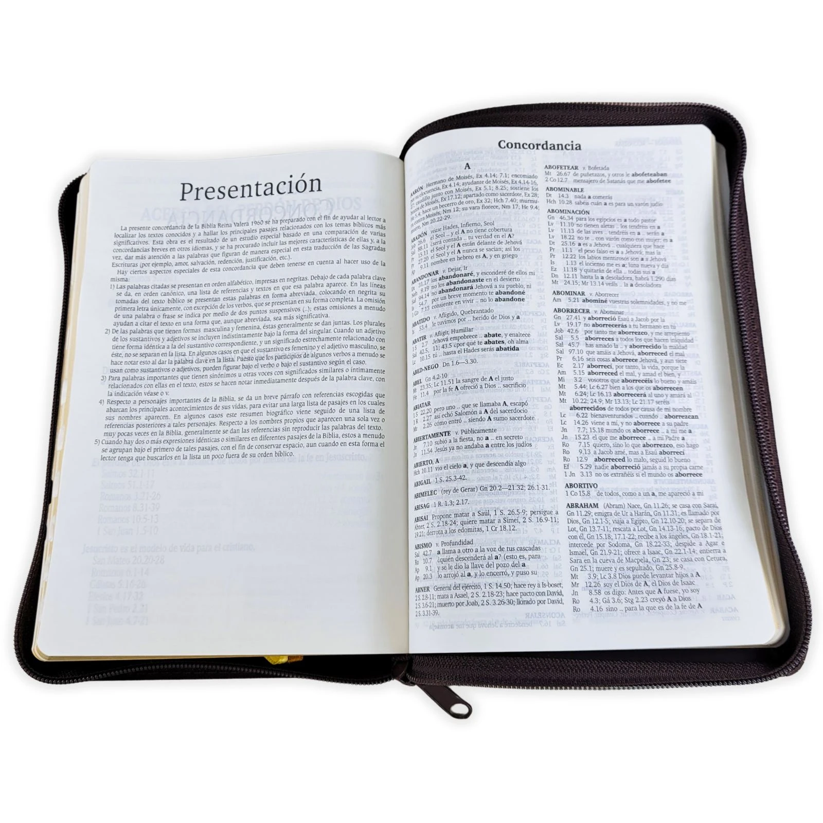 Biblia Reina Valera 1960 León Imitación Piel Marrón, Canto Dorado, Indice, Con Cierre - Imagen 4